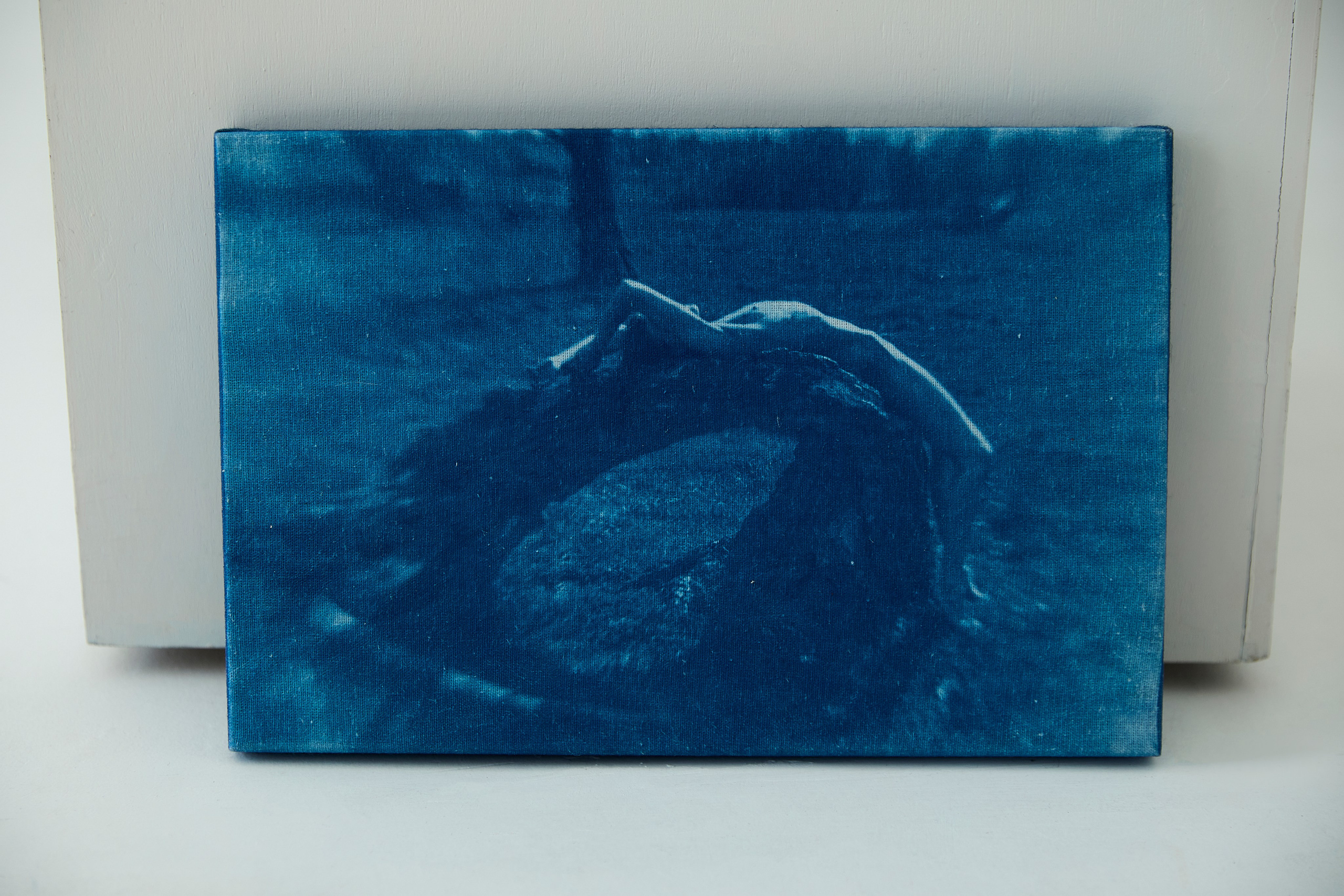 CYANOTYPE. Visual artist/photographer Dayneko Tatyana Krasnoyarsk