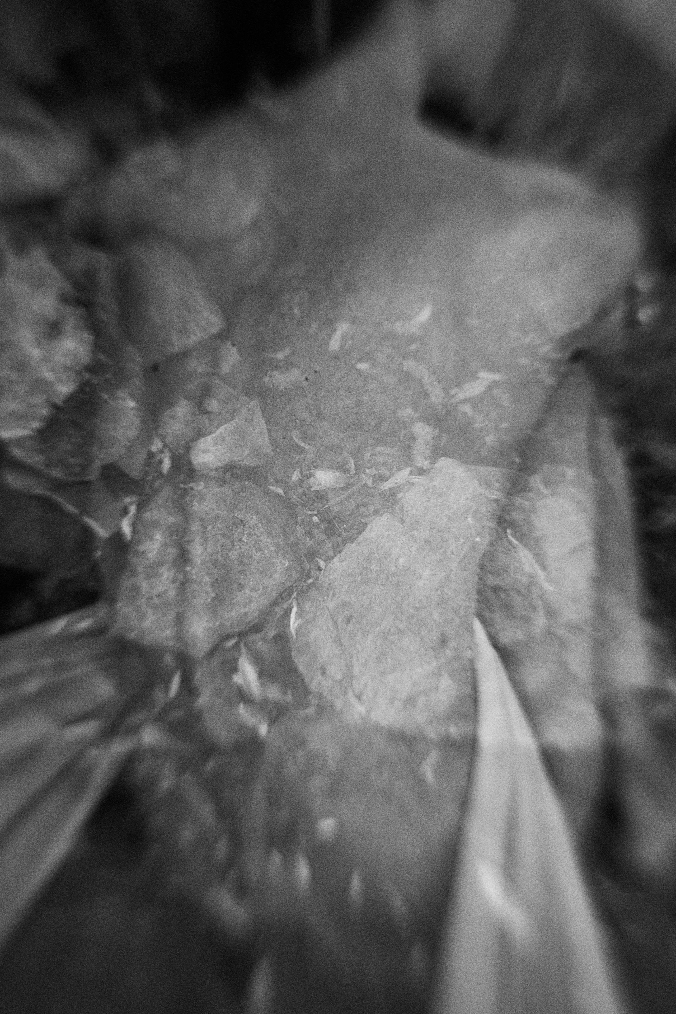 Visual artist/photographer Dayneko Tatyana Krasnoyarsk