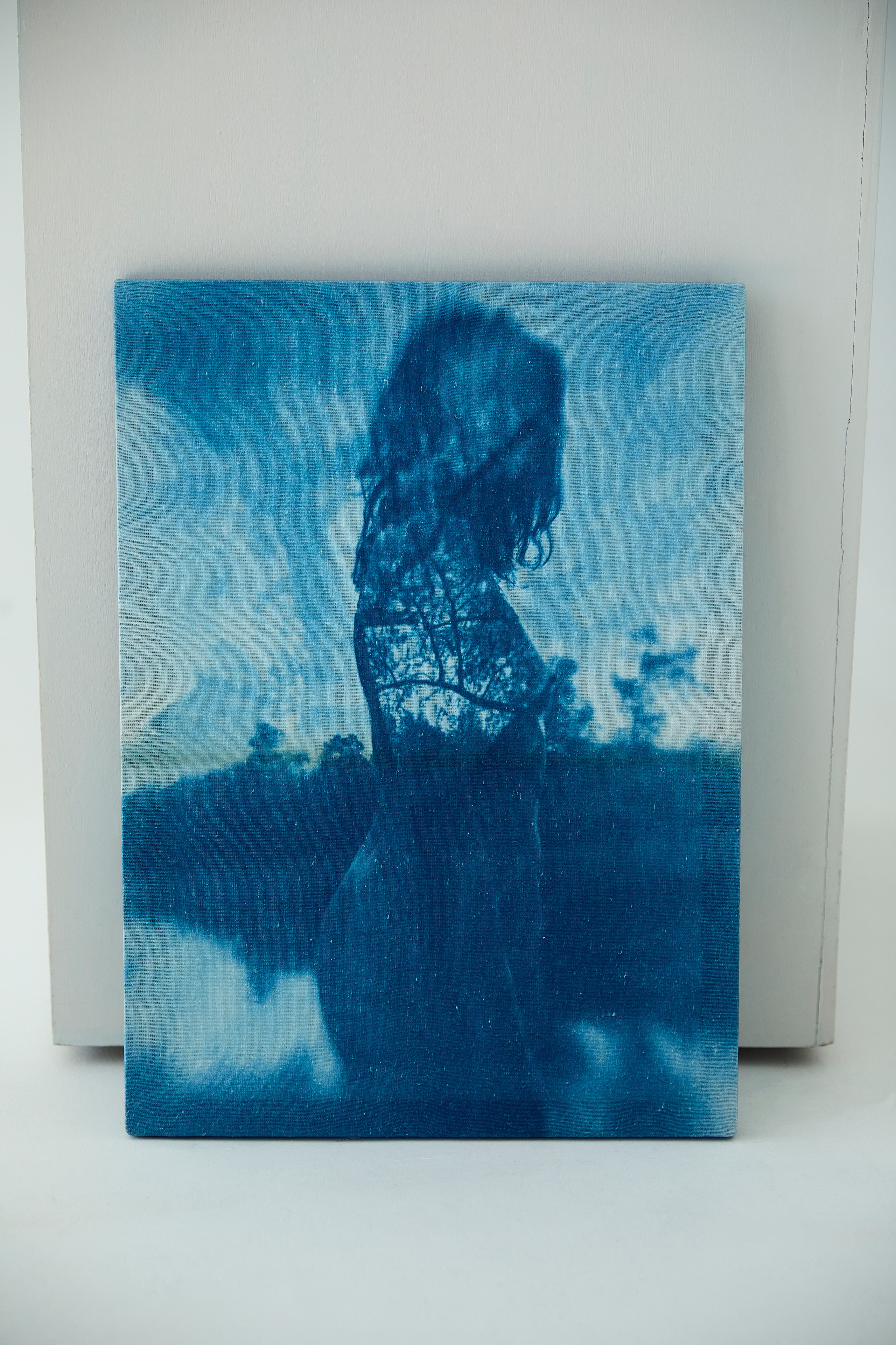 CYANOTYPE. Visual artist/photographer Dayneko Tatyana Krasnoyarsk