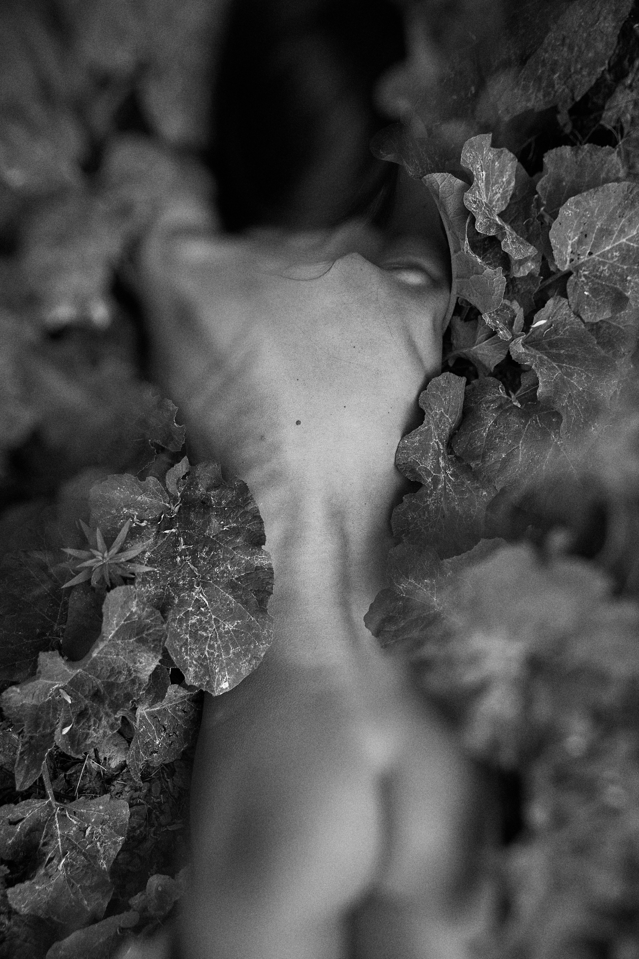 Visual artist/photographer Dayneko Tatyana Krasnoyarsk