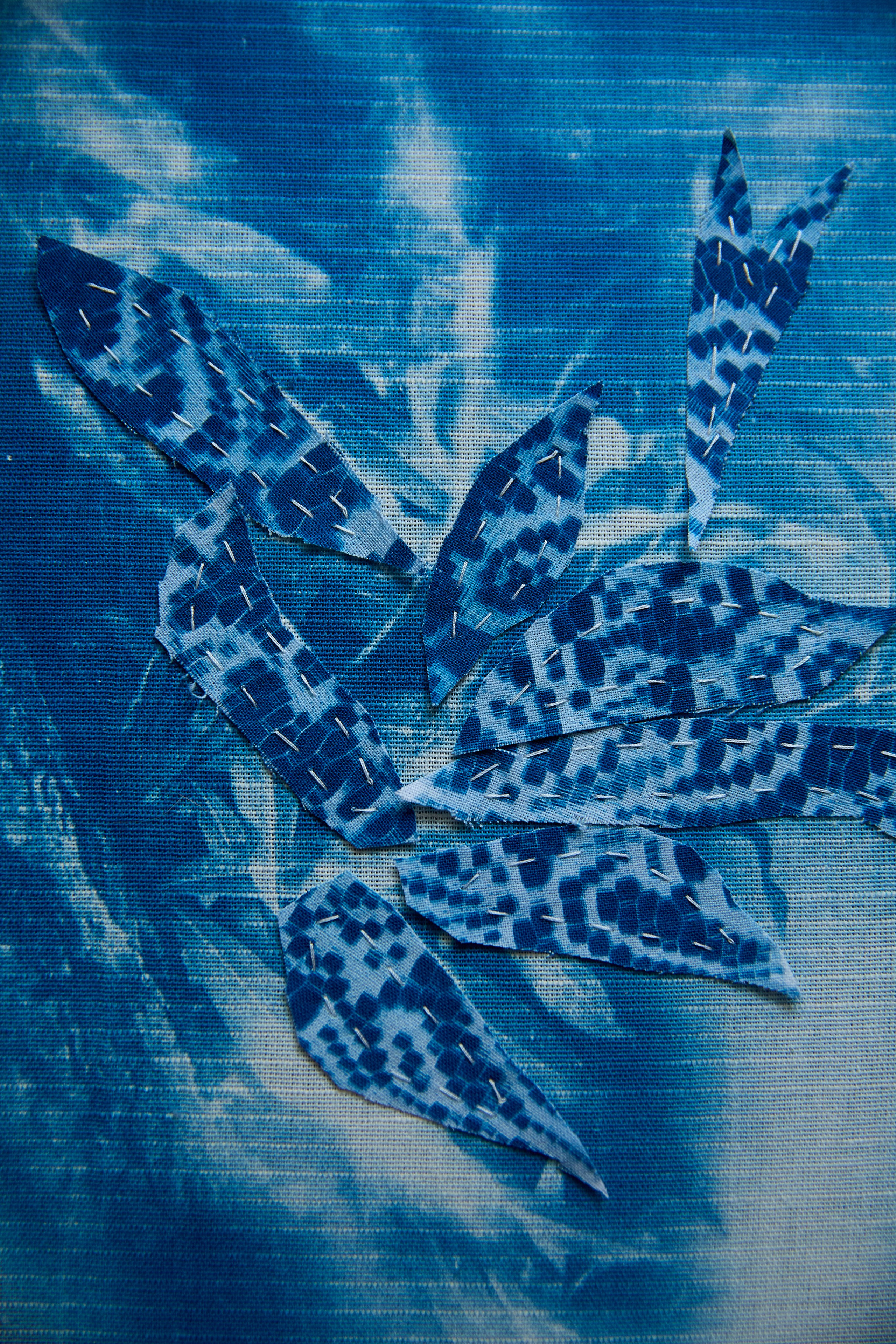 CYANOTYPE. Visual artist/photographer Dayneko Tatyana Krasnoyarsk