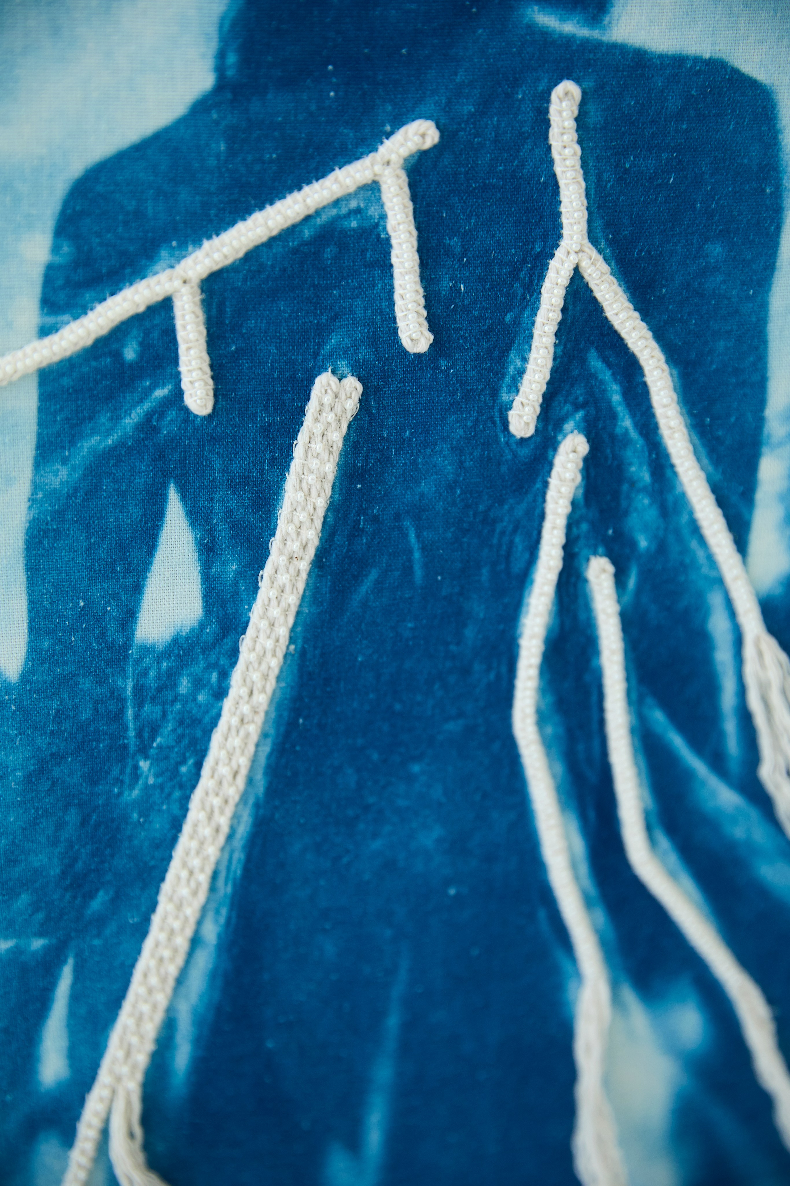 CYANOTYPE. Visual artist/photographer Dayneko Tatyana Krasnoyarsk