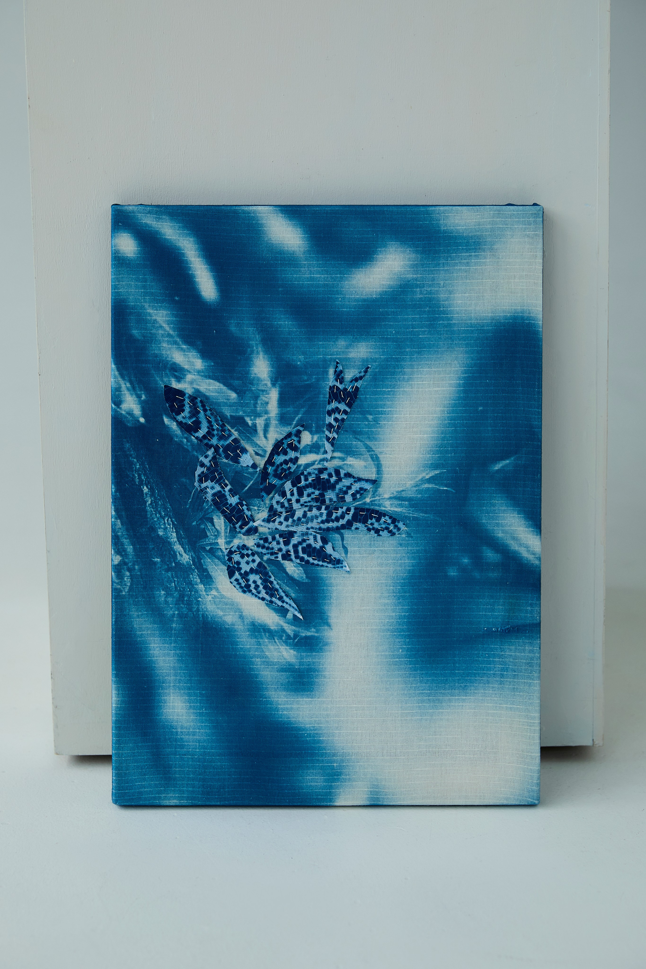 CYANOTYPE. Visual artist/photographer Dayneko Tatyana Krasnoyarsk