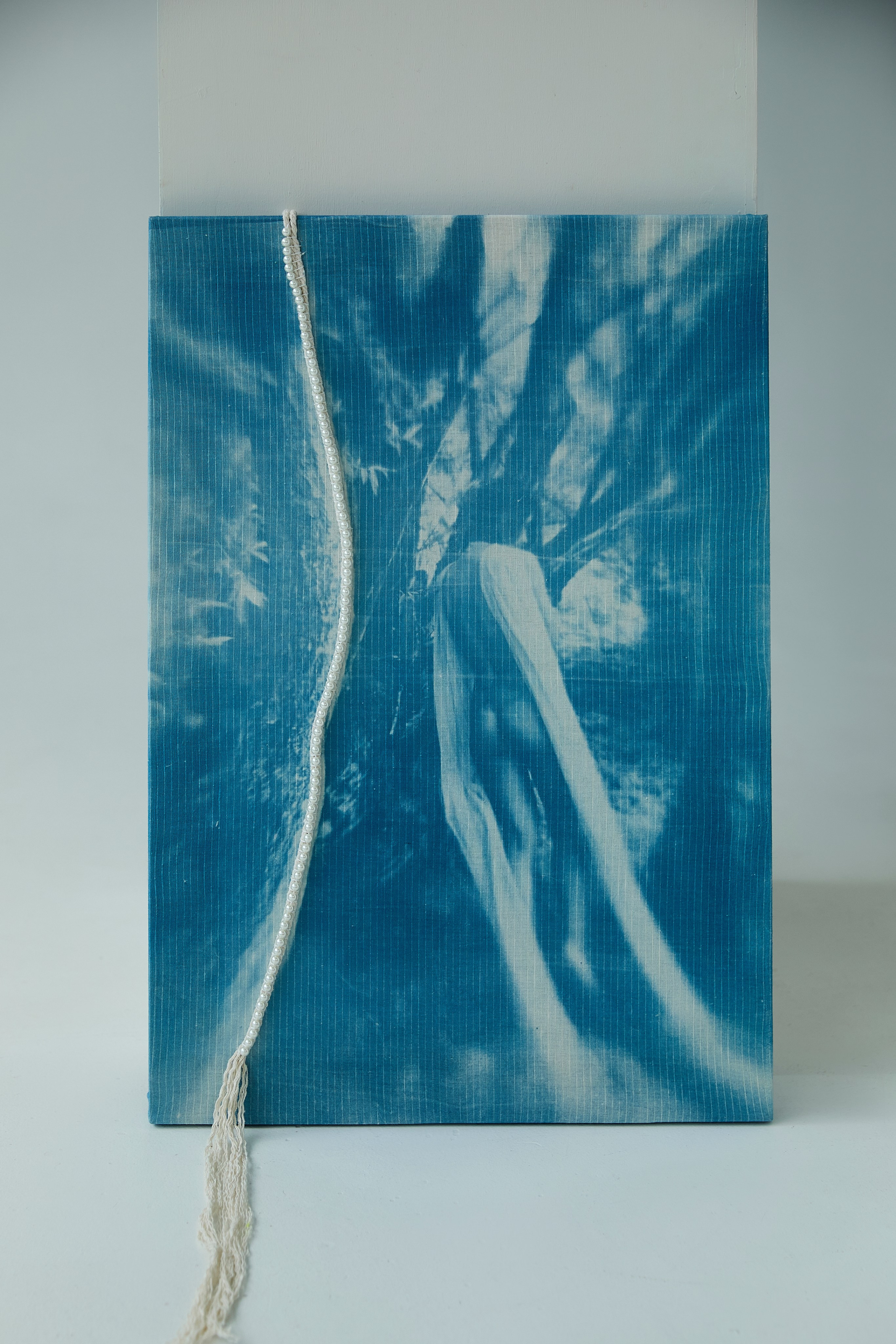 CYANOTYPE. Visual artist/photographer Dayneko Tatyana Krasnoyarsk