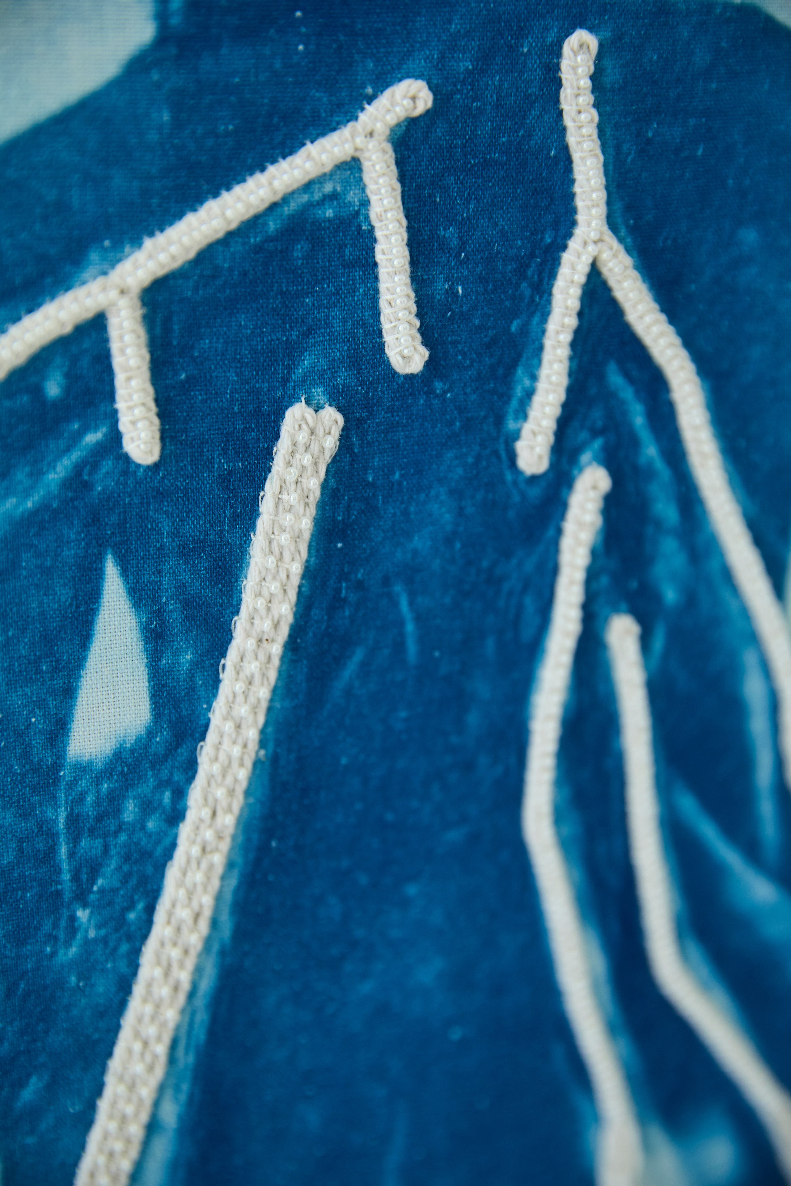 CYANOTYPE. Visual artist/photographer Dayneko Tatyana Krasnoyarsk
