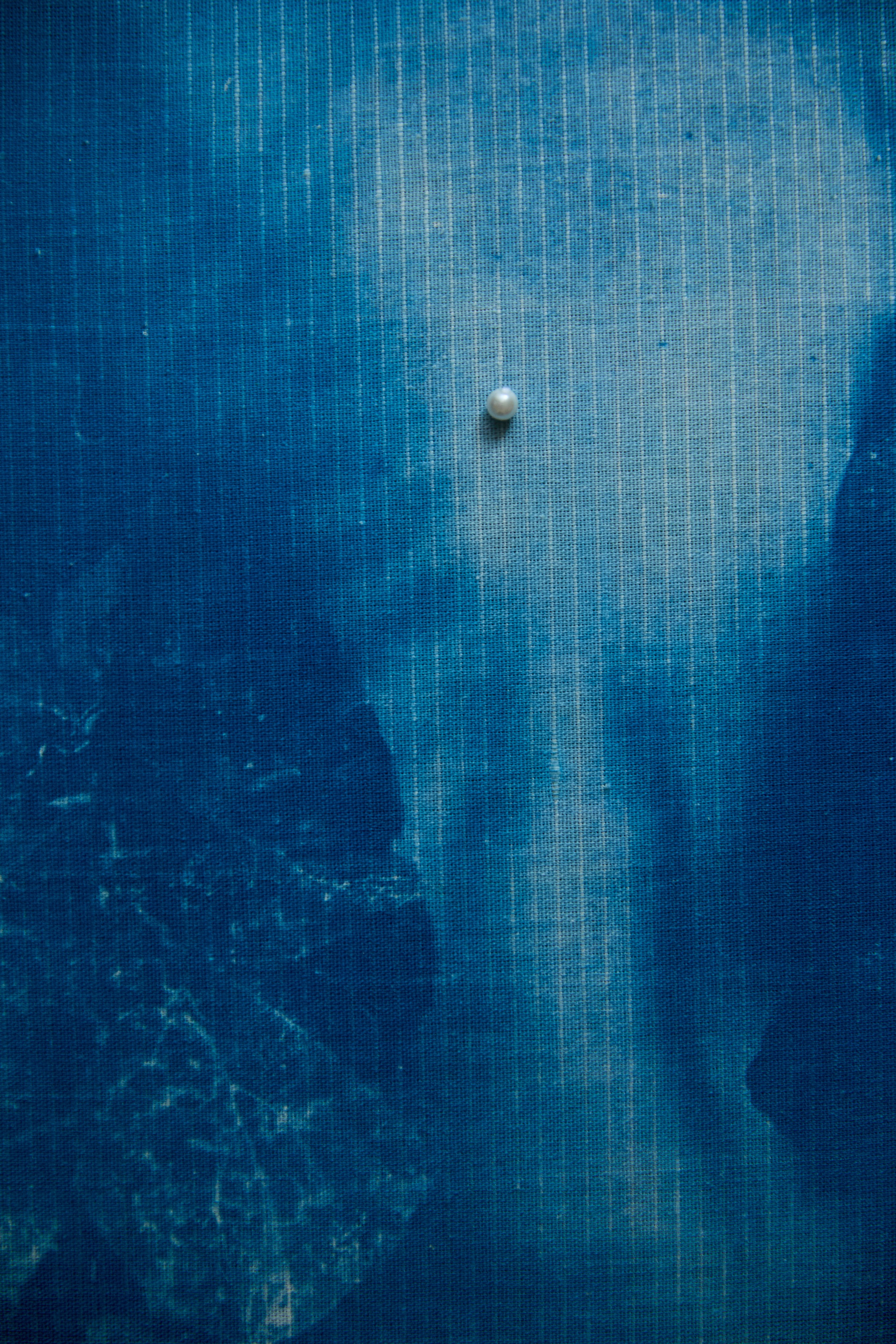 CYANOTYPE. Visual artist/photographer Dayneko Tatyana Krasnoyarsk