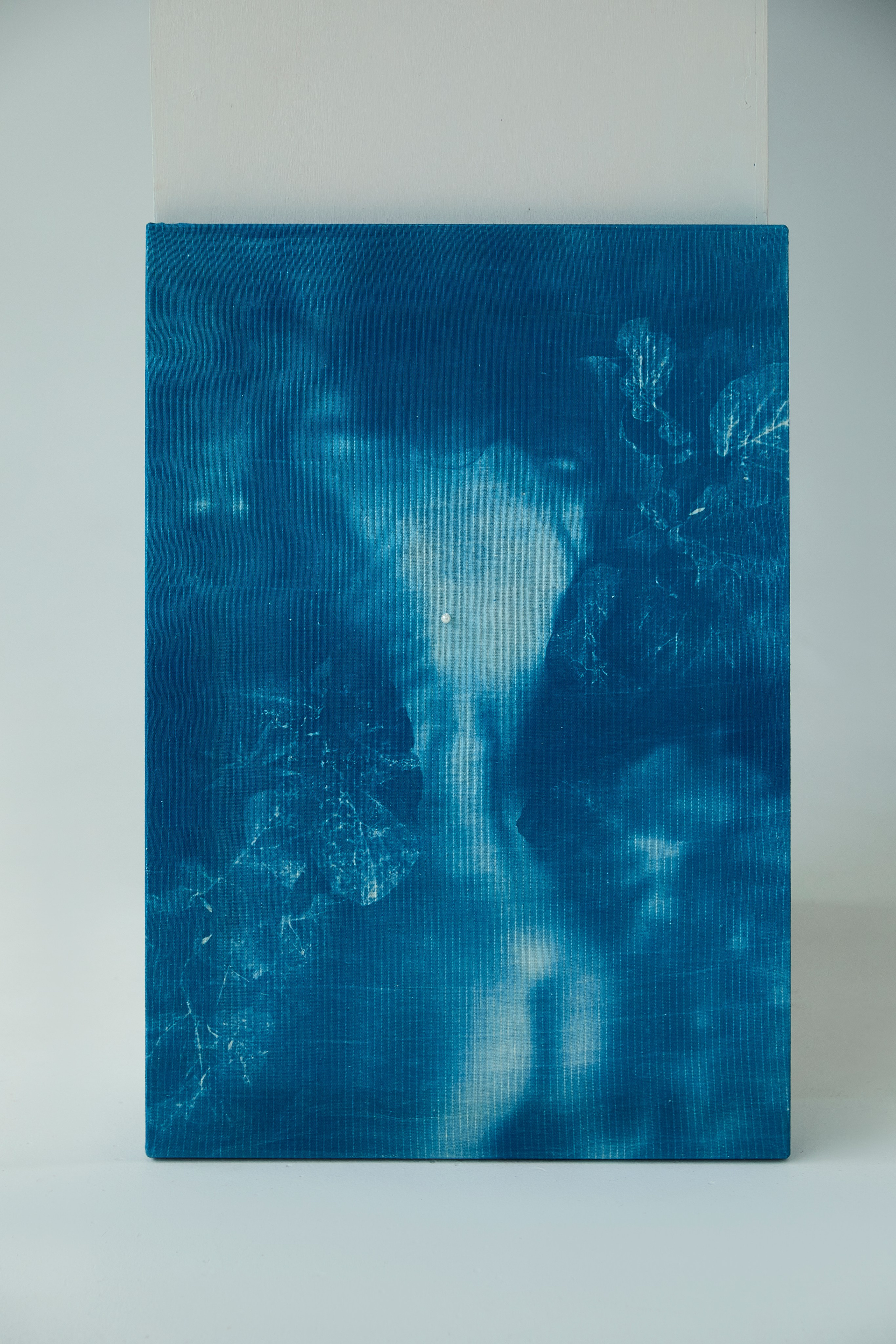 CYANOTYPE. Visual artist/photographer Dayneko Tatyana Krasnoyarsk