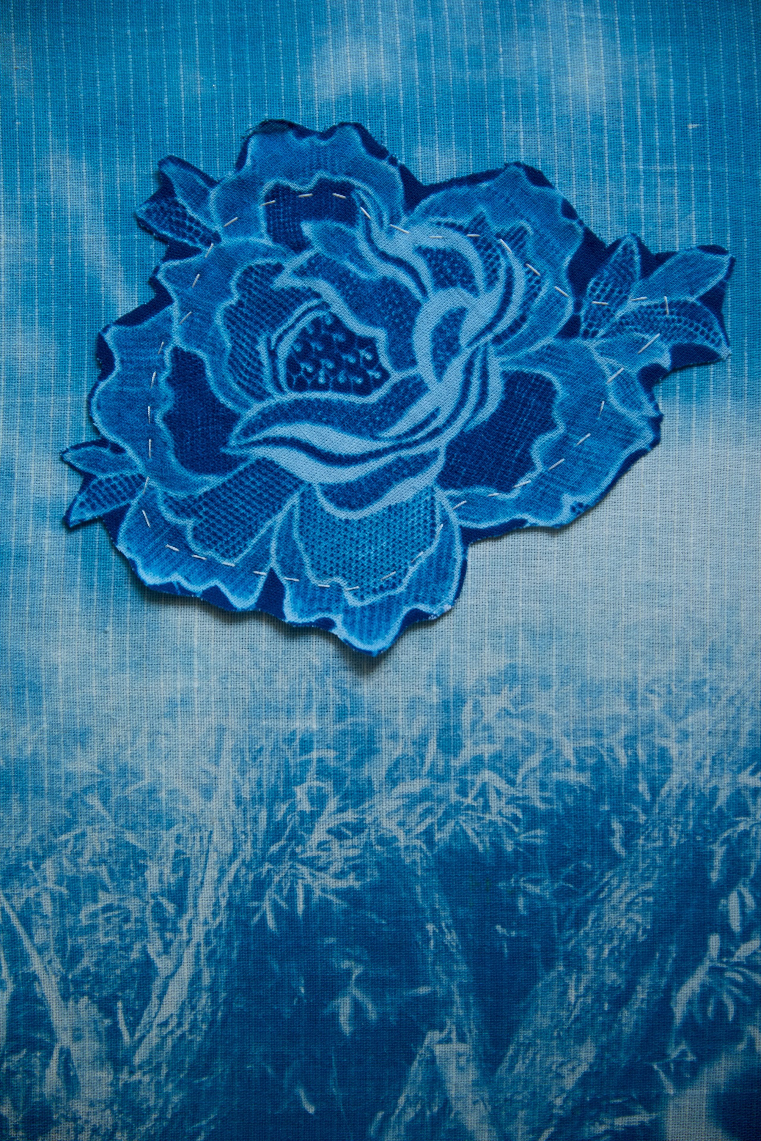 CYANOTYPE. Visual artist/photographer Dayneko Tatyana Krasnoyarsk
