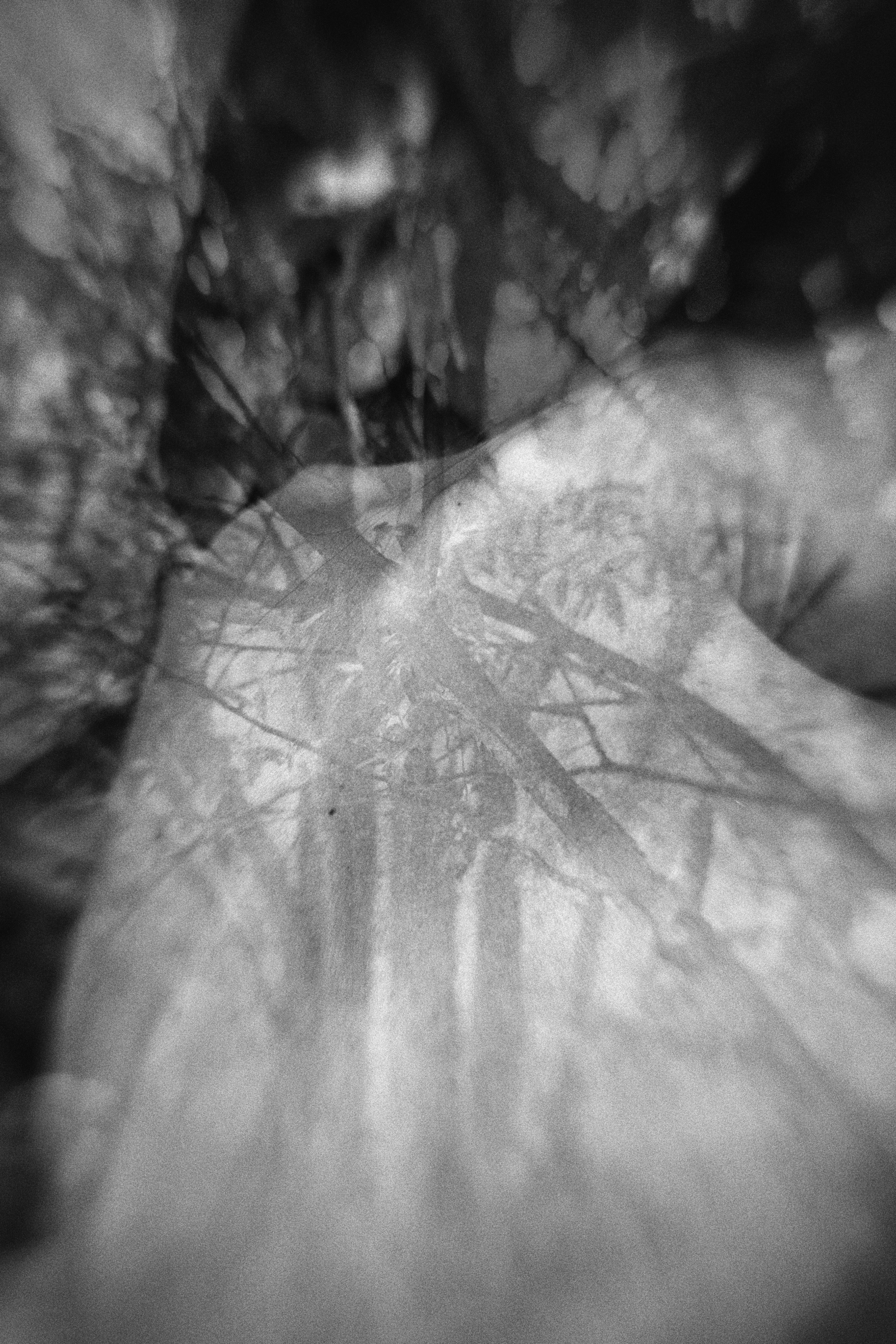 Visual artist/photographer Dayneko Tatyana Krasnoyarsk