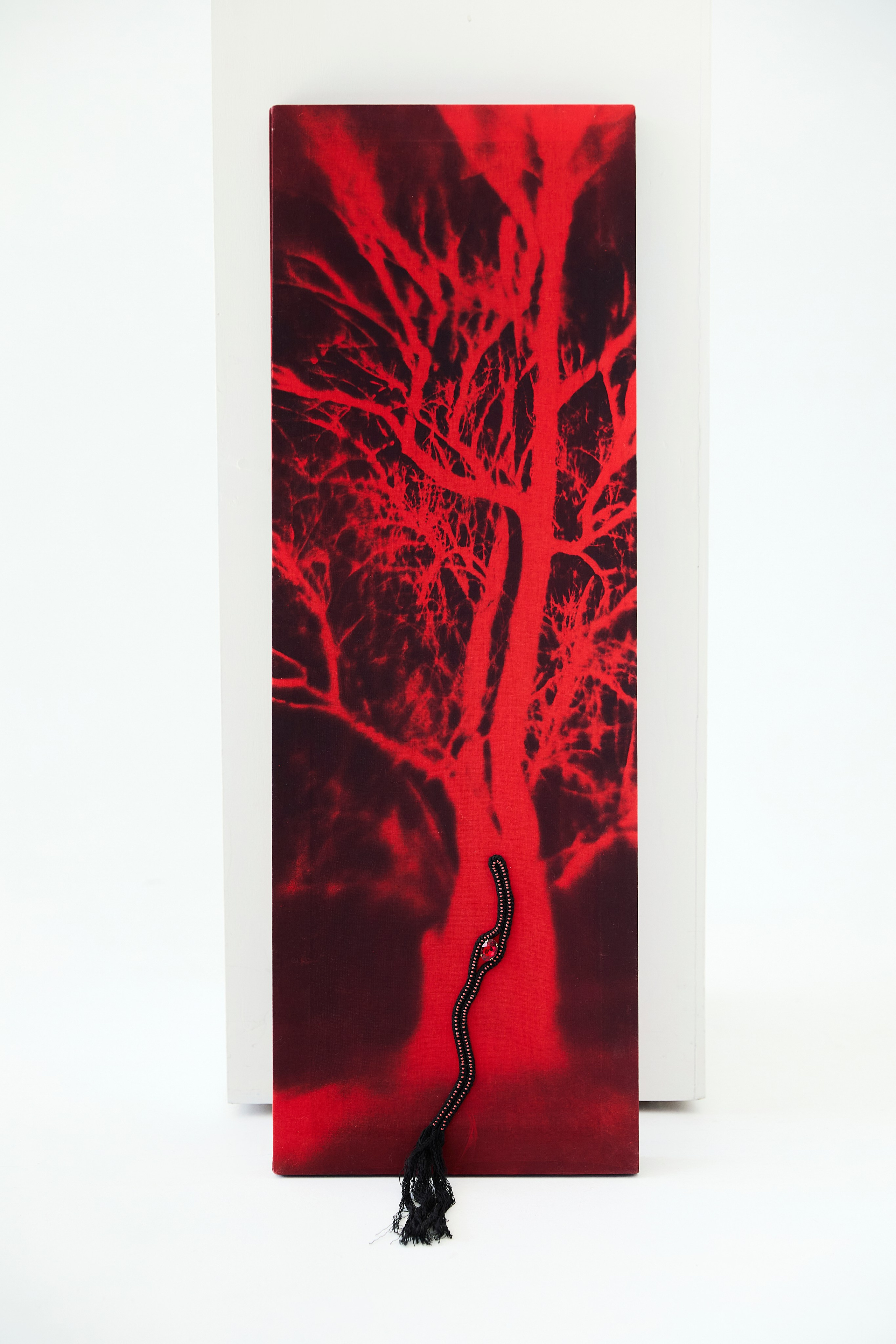 CYANOTYPE. Visual artist/photographer Dayneko Tatyana Krasnoyarsk