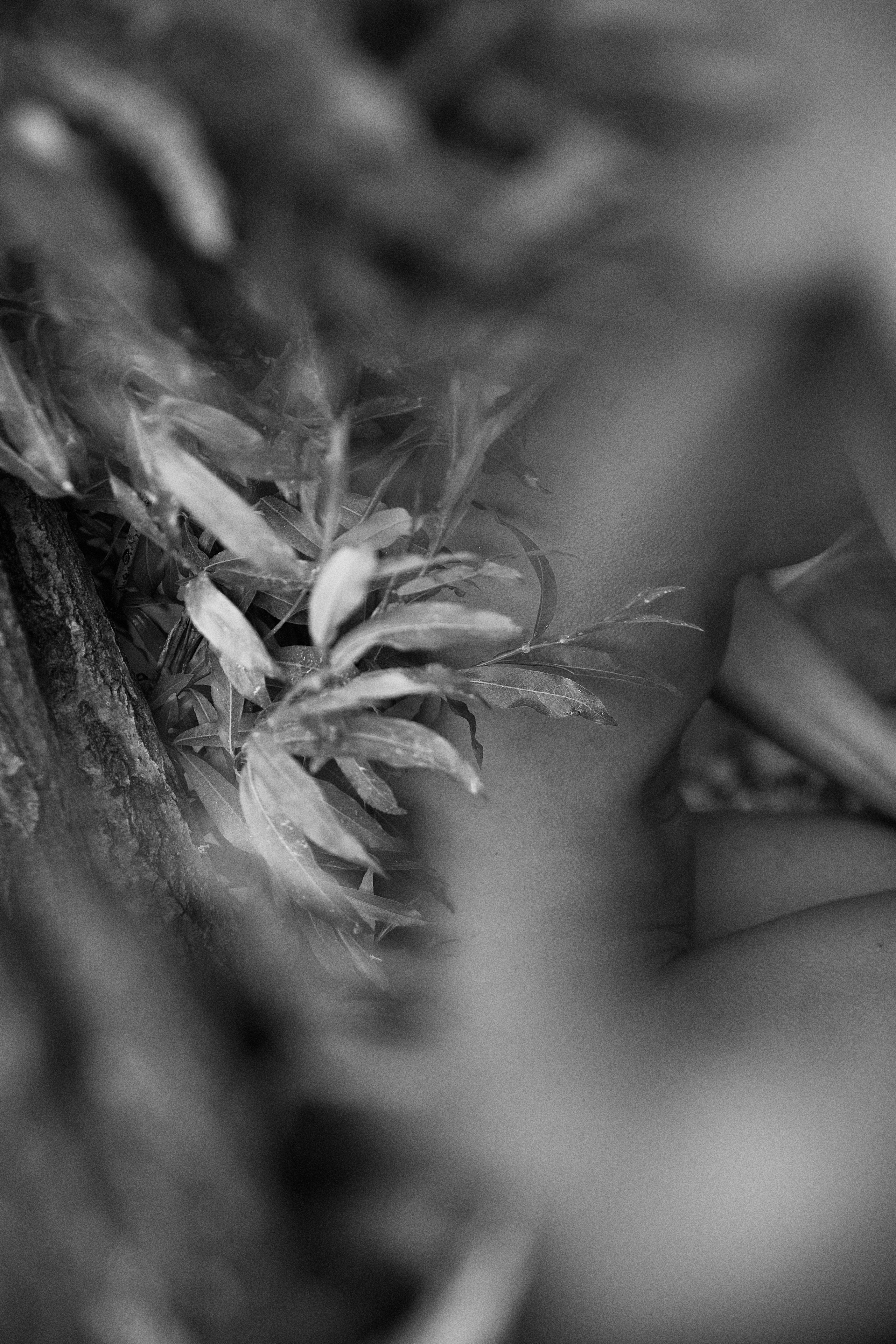 Visual artist/photographer Dayneko Tatyana Krasnoyarsk