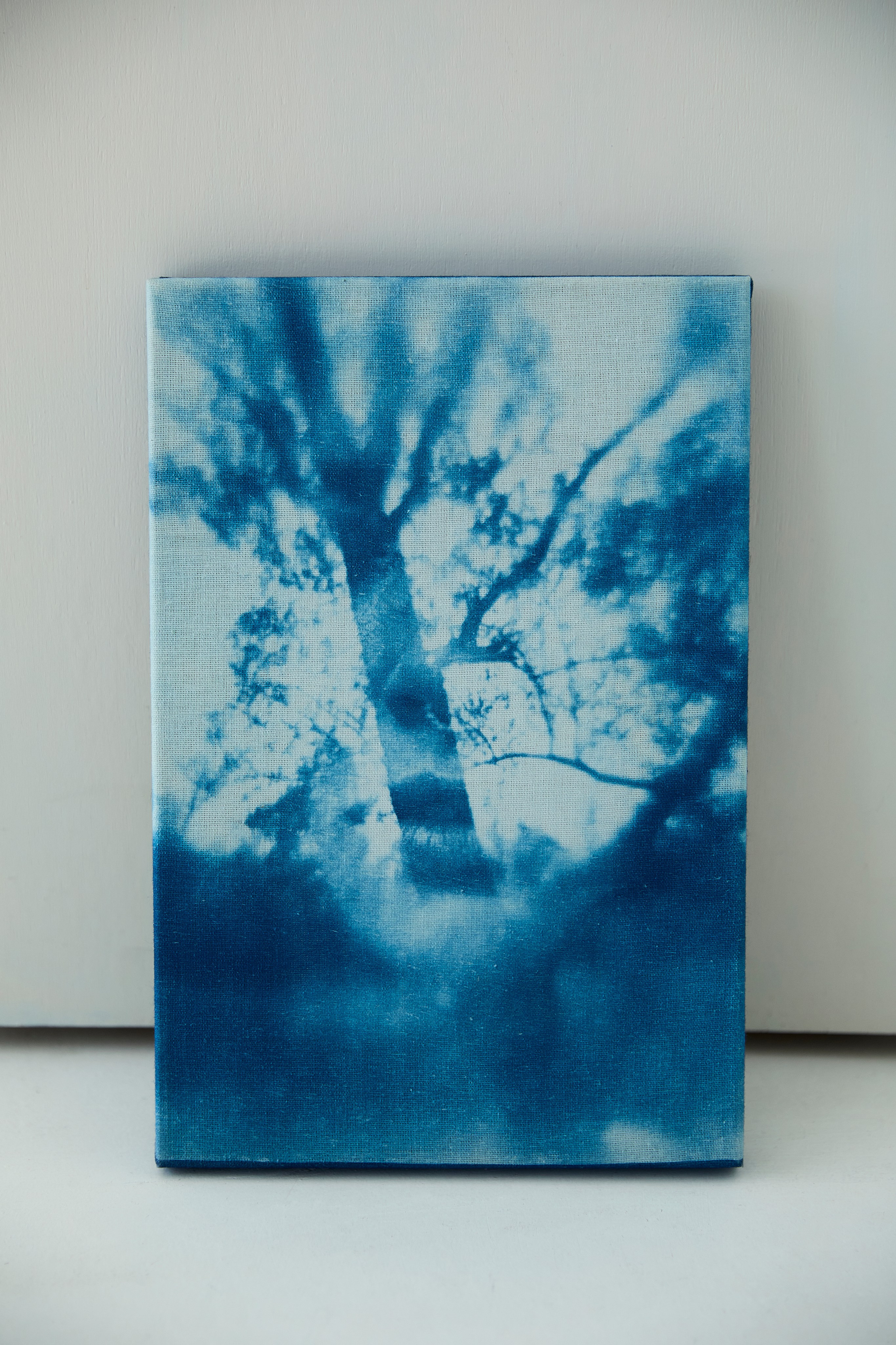 CYANOTYPE. Visual artist/photographer Dayneko Tatyana Krasnoyarsk