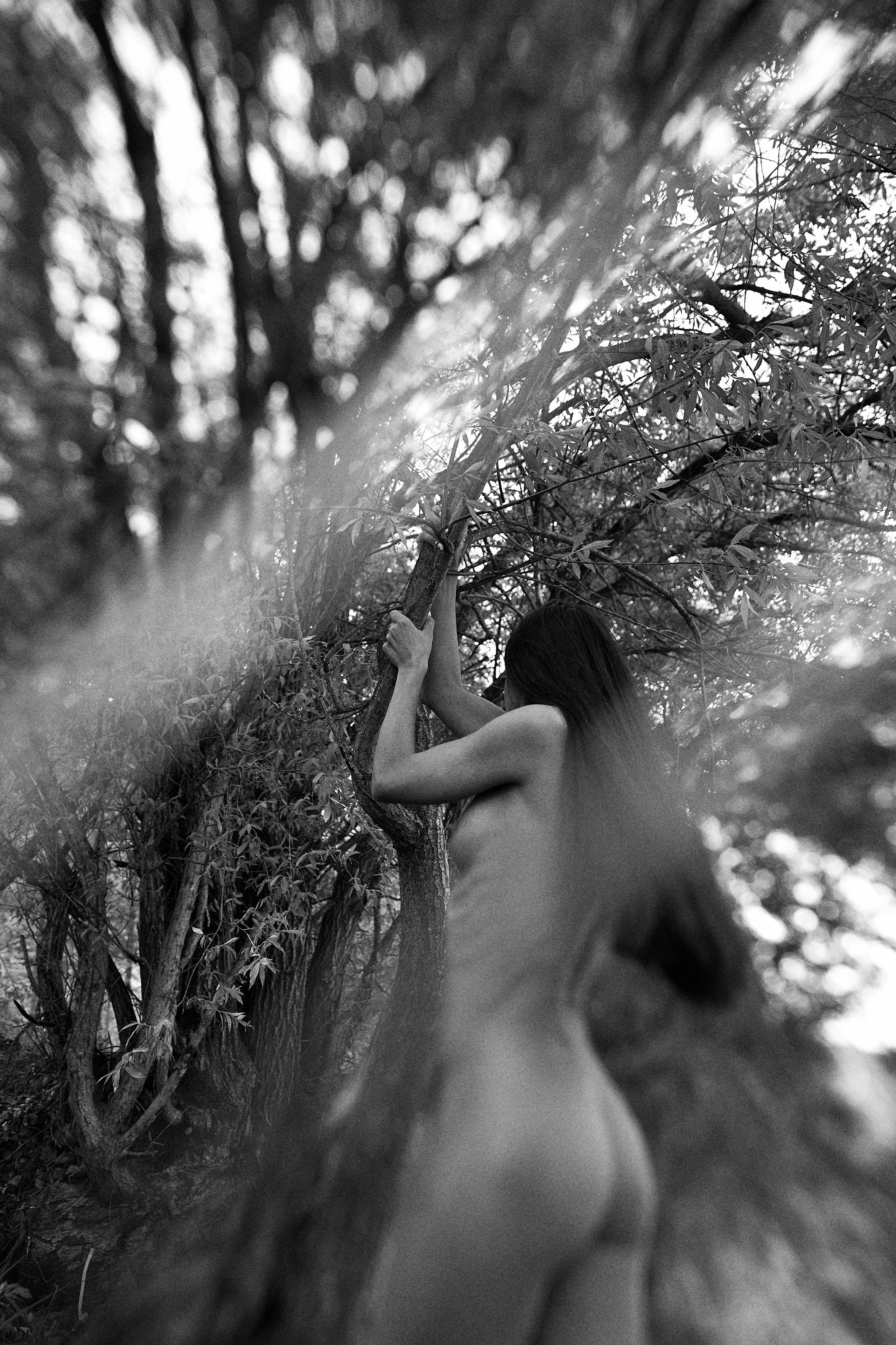 Visual artist/photographer Dayneko Tatyana Krasnoyarsk