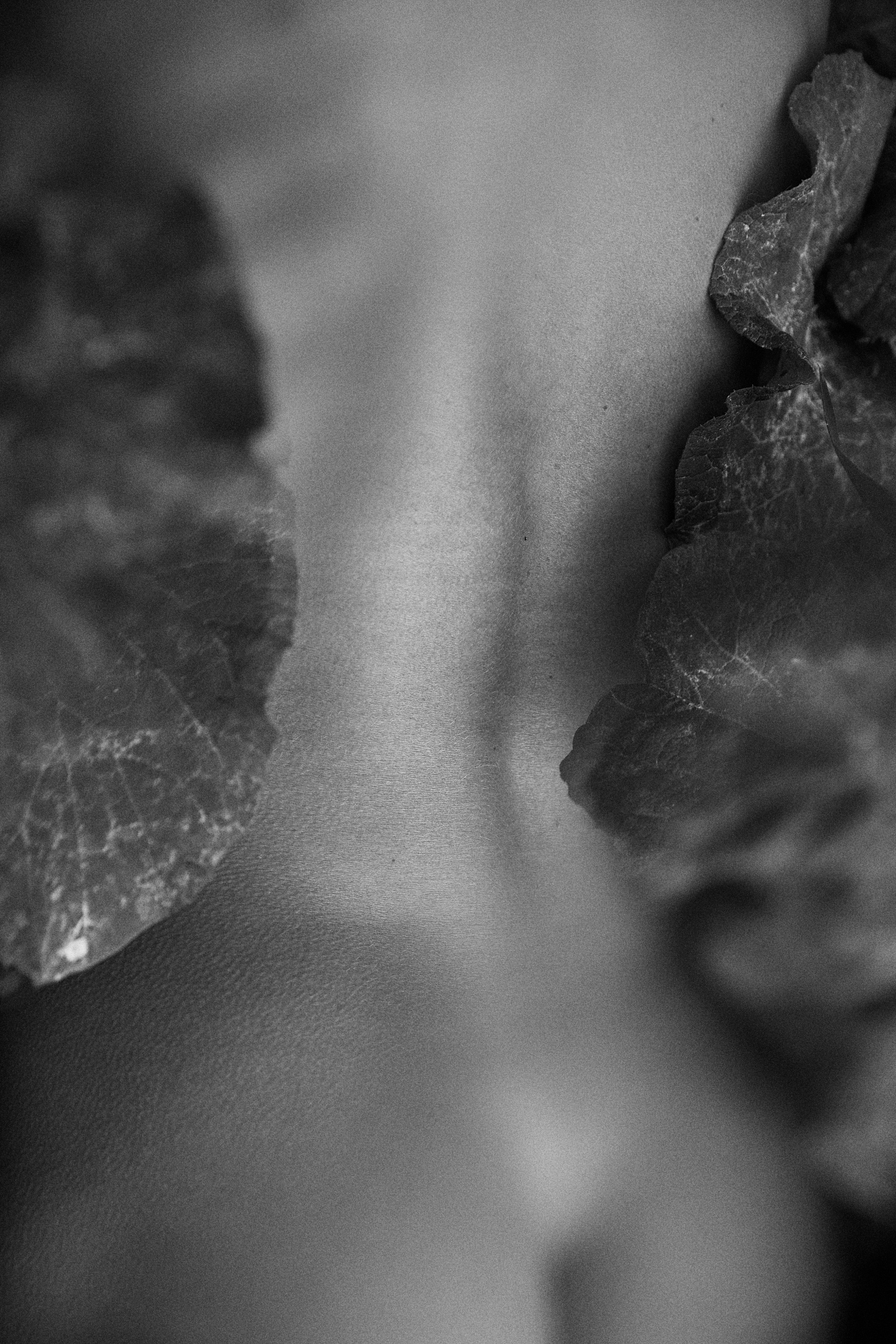 Visual artist/photographer Dayneko Tatyana Krasnoyarsk