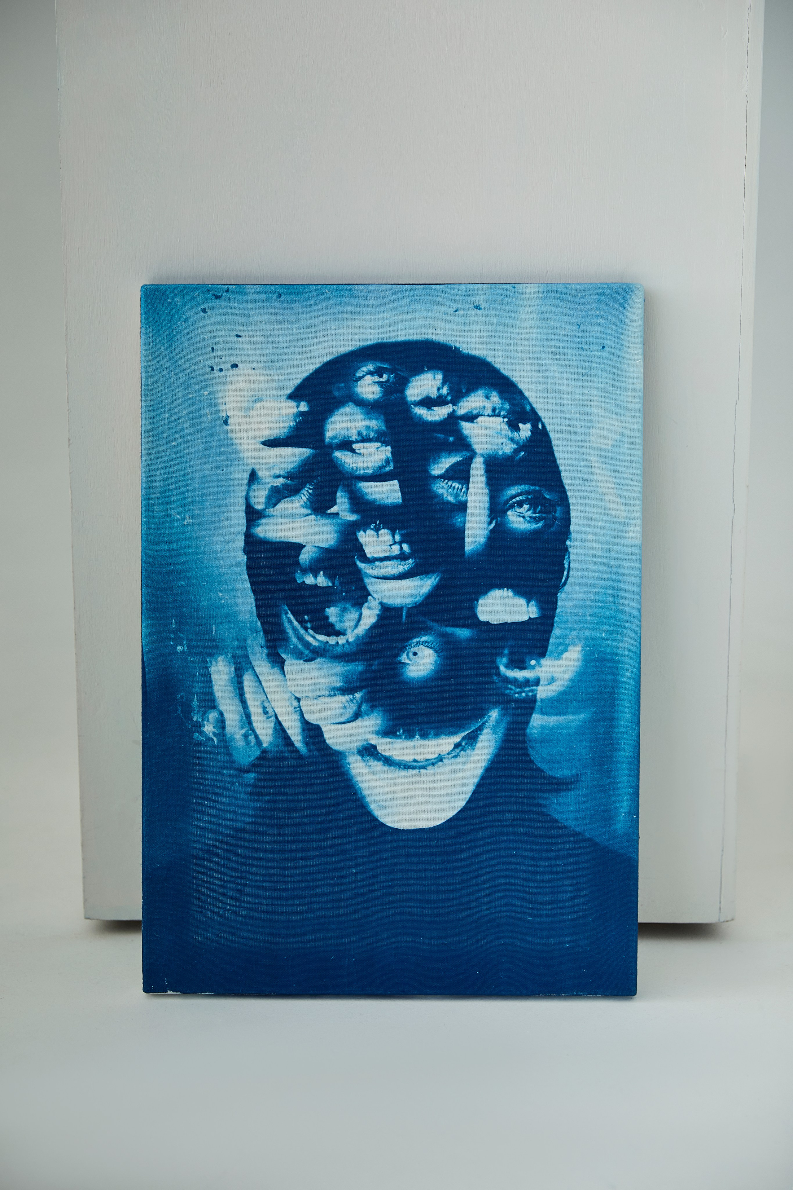 CYANOTYPE. Visual artist/photographer Dayneko Tatyana Krasnoyarsk