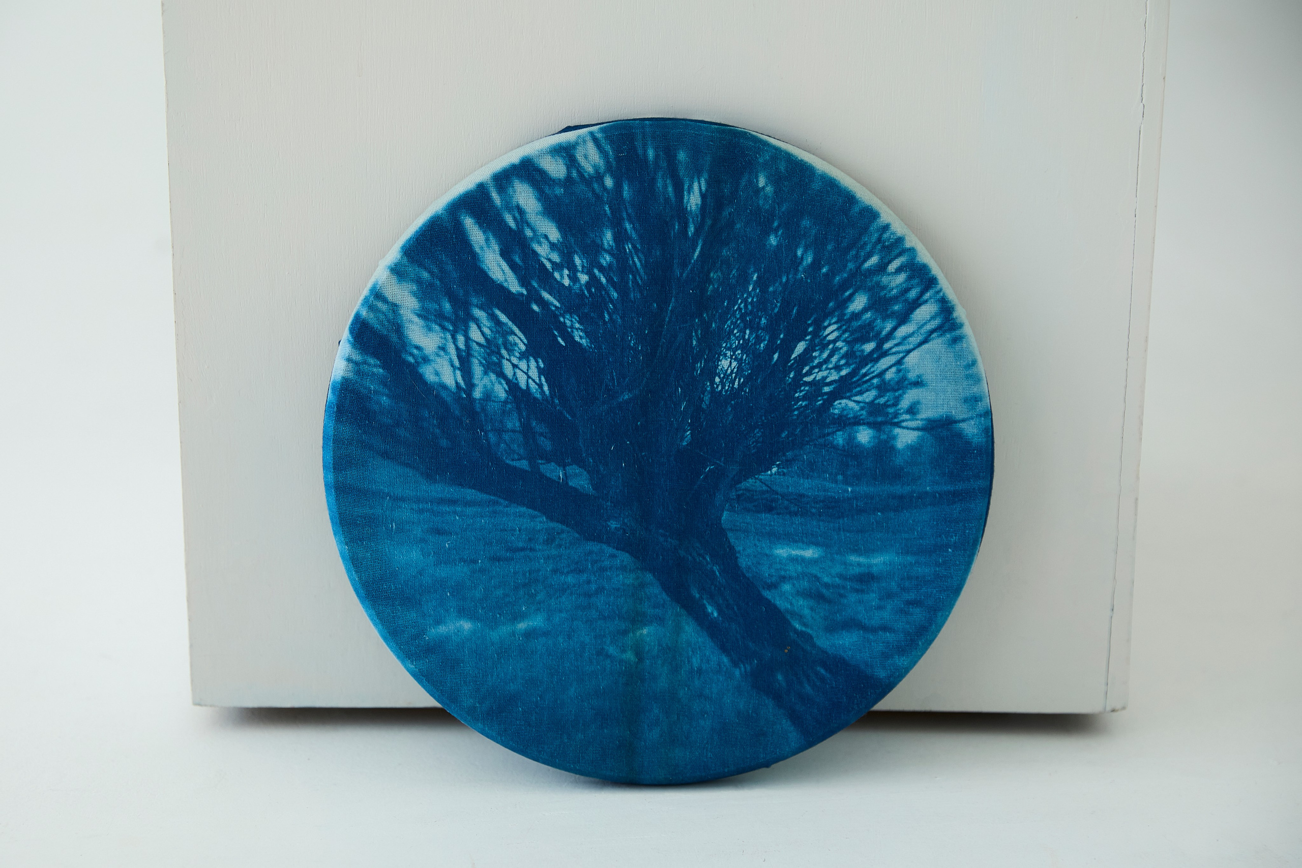 CYANOTYPE. Visual artist/photographer Dayneko Tatyana Krasnoyarsk