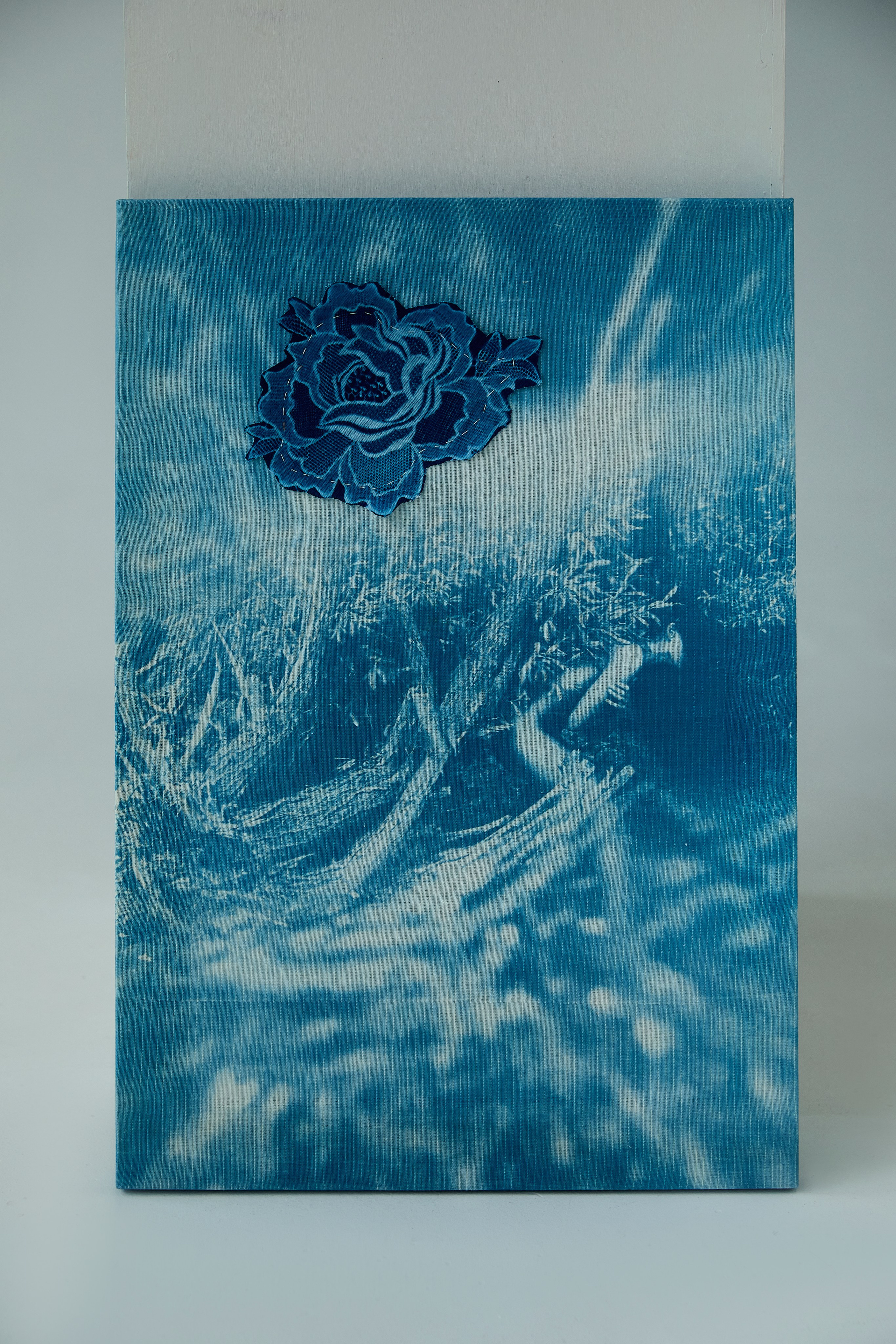 CYANOTYPE. Visual artist/photographer Dayneko Tatyana Krasnoyarsk