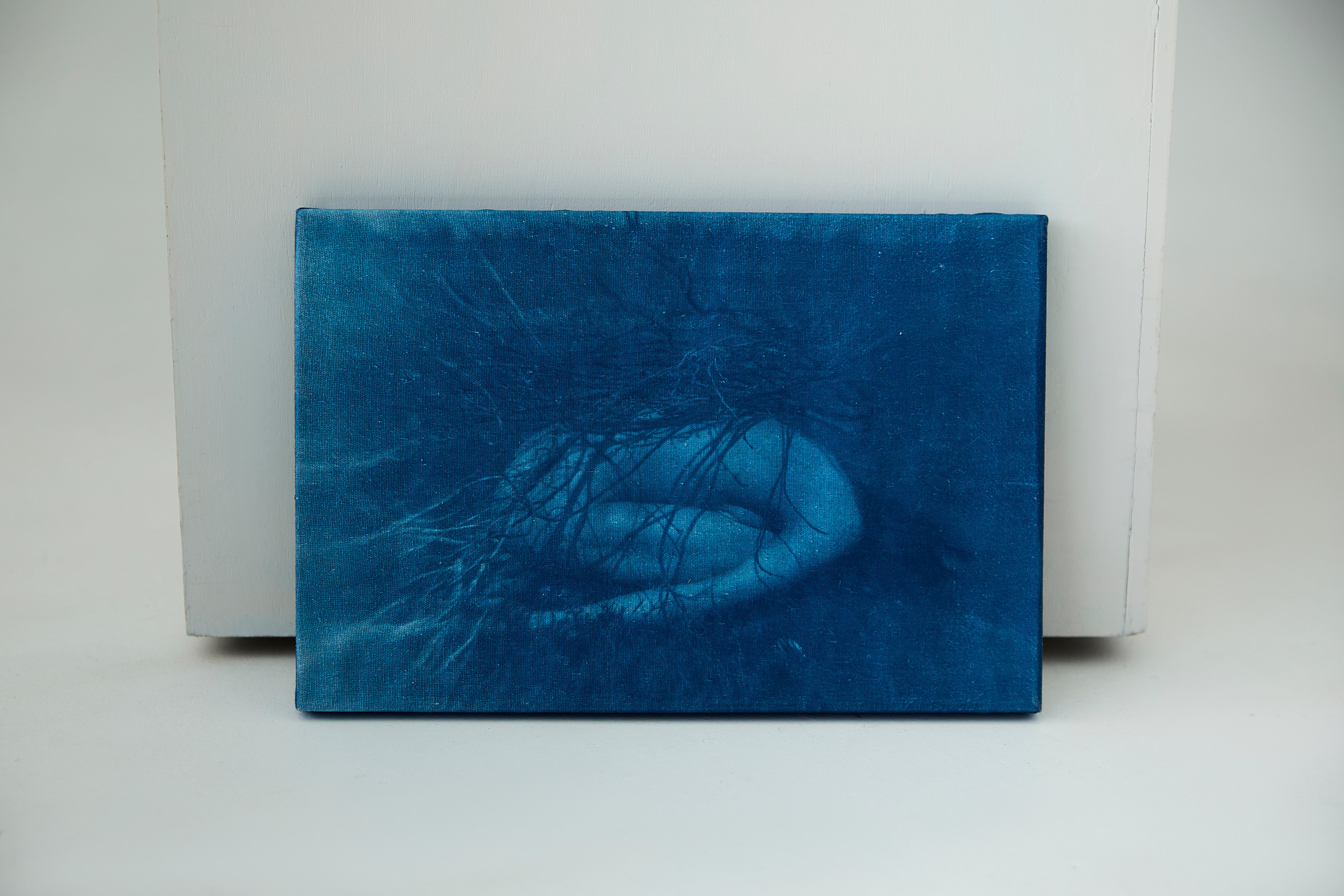 CYANOTYPE. Visual artist/photographer Dayneko Tatyana Krasnoyarsk