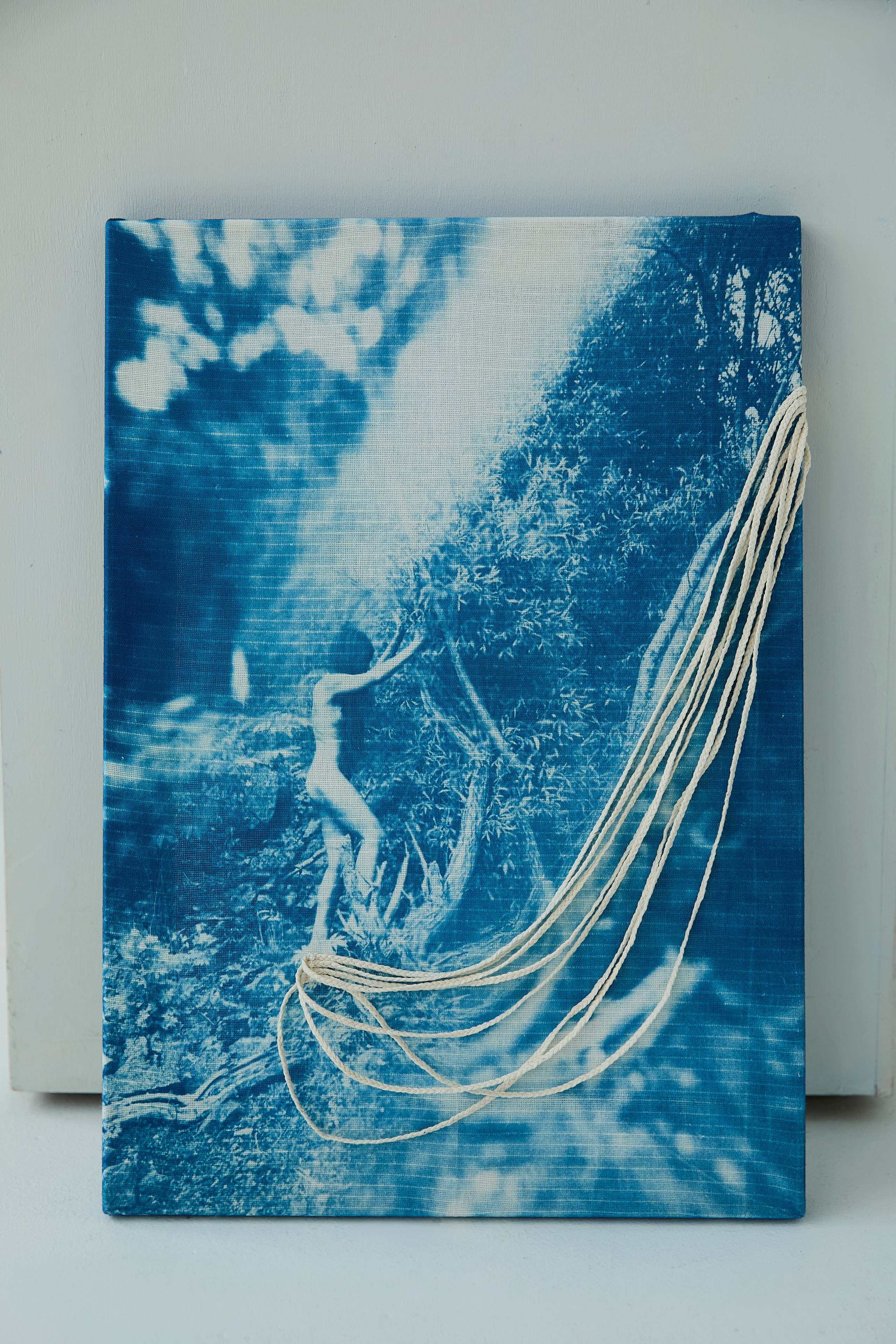 CYANOTYPE. Visual artist/photographer Dayneko Tatyana Krasnoyarsk