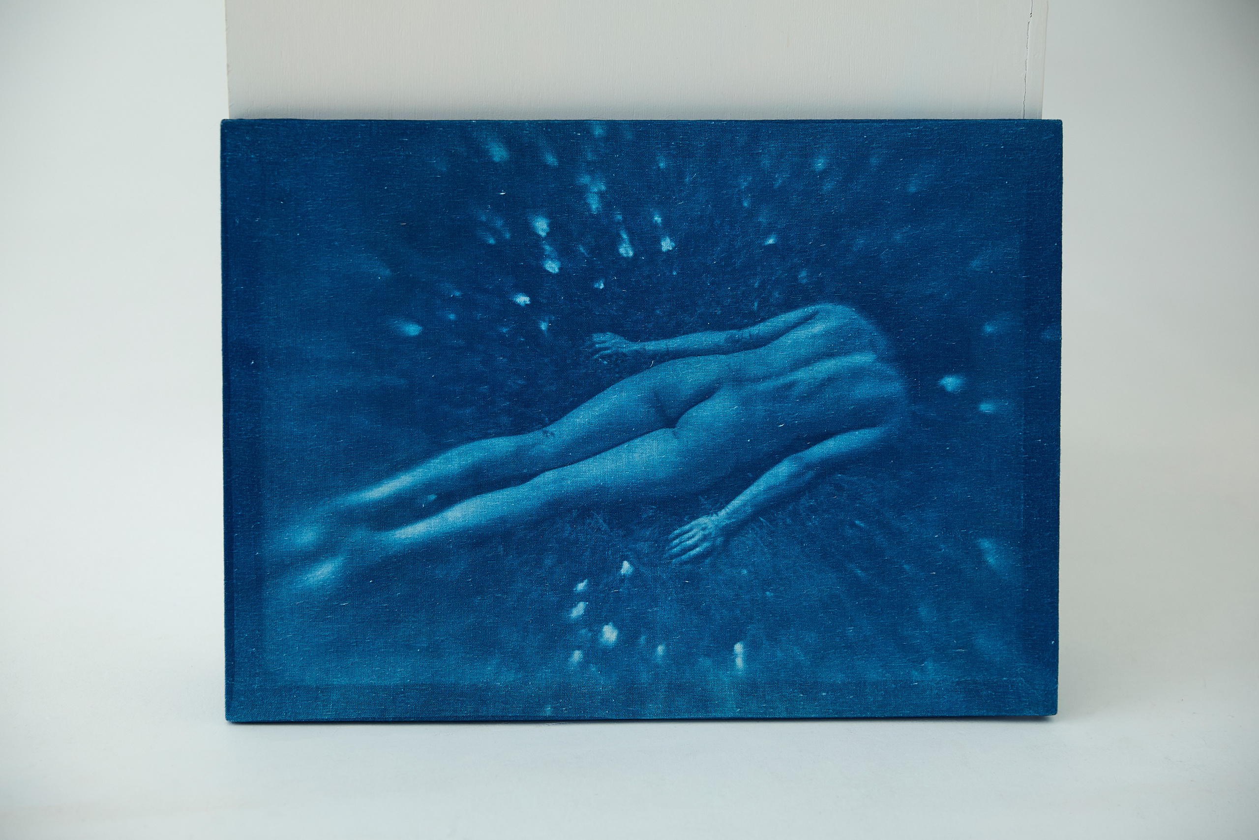 CYANOTYPE. Visual artist/photographer Dayneko Tatyana Krasnoyarsk