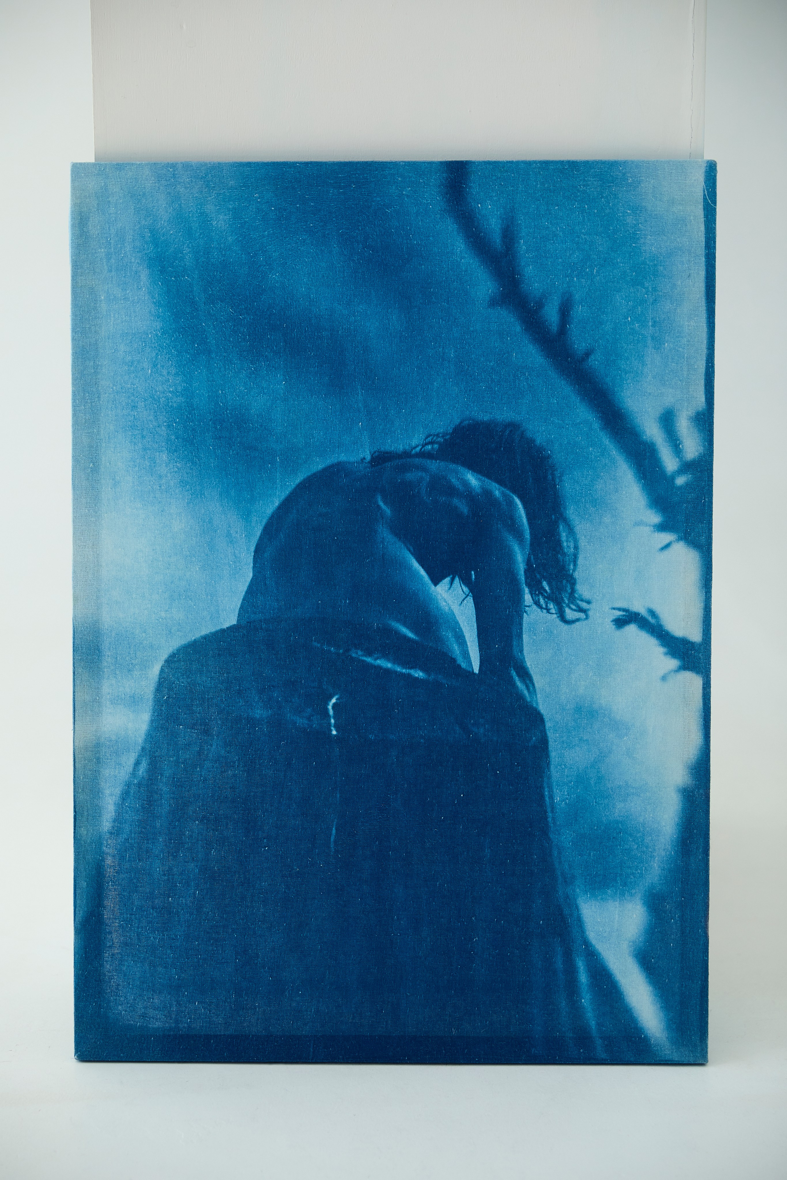 CYANOTYPE. Visual artist/photographer Dayneko Tatyana Krasnoyarsk