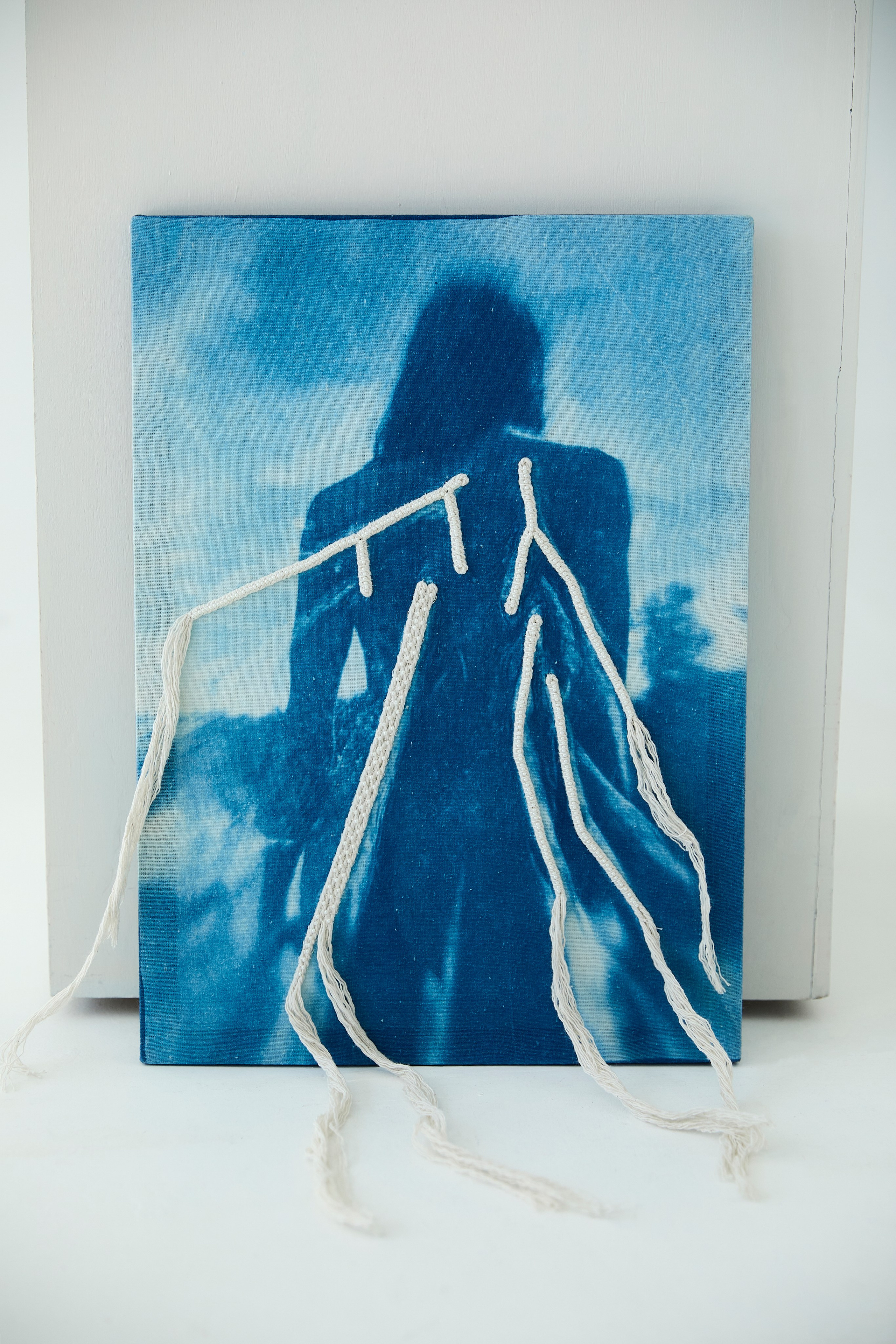 CYANOTYPE. Visual artist/photographer Dayneko Tatyana Krasnoyarsk