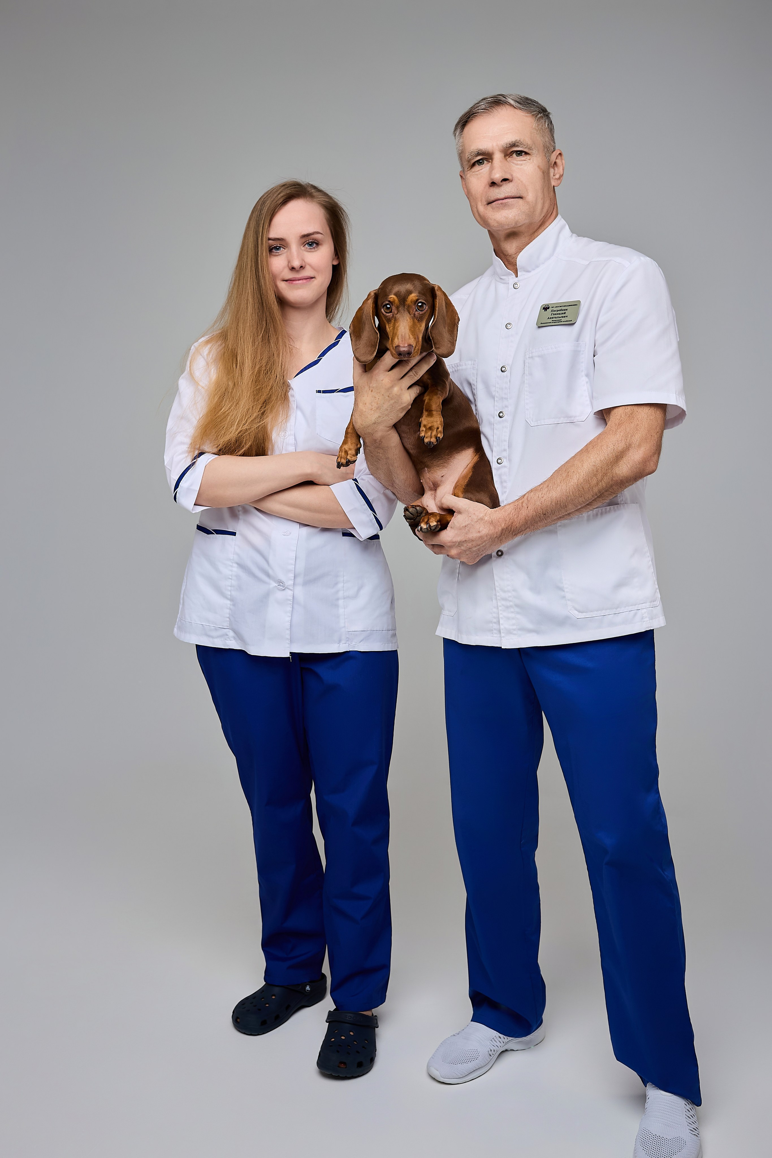 Контент для ветеринарного лендинга правительства Москвы. Фотограф и Видеограф в Москве. Олег Корушев