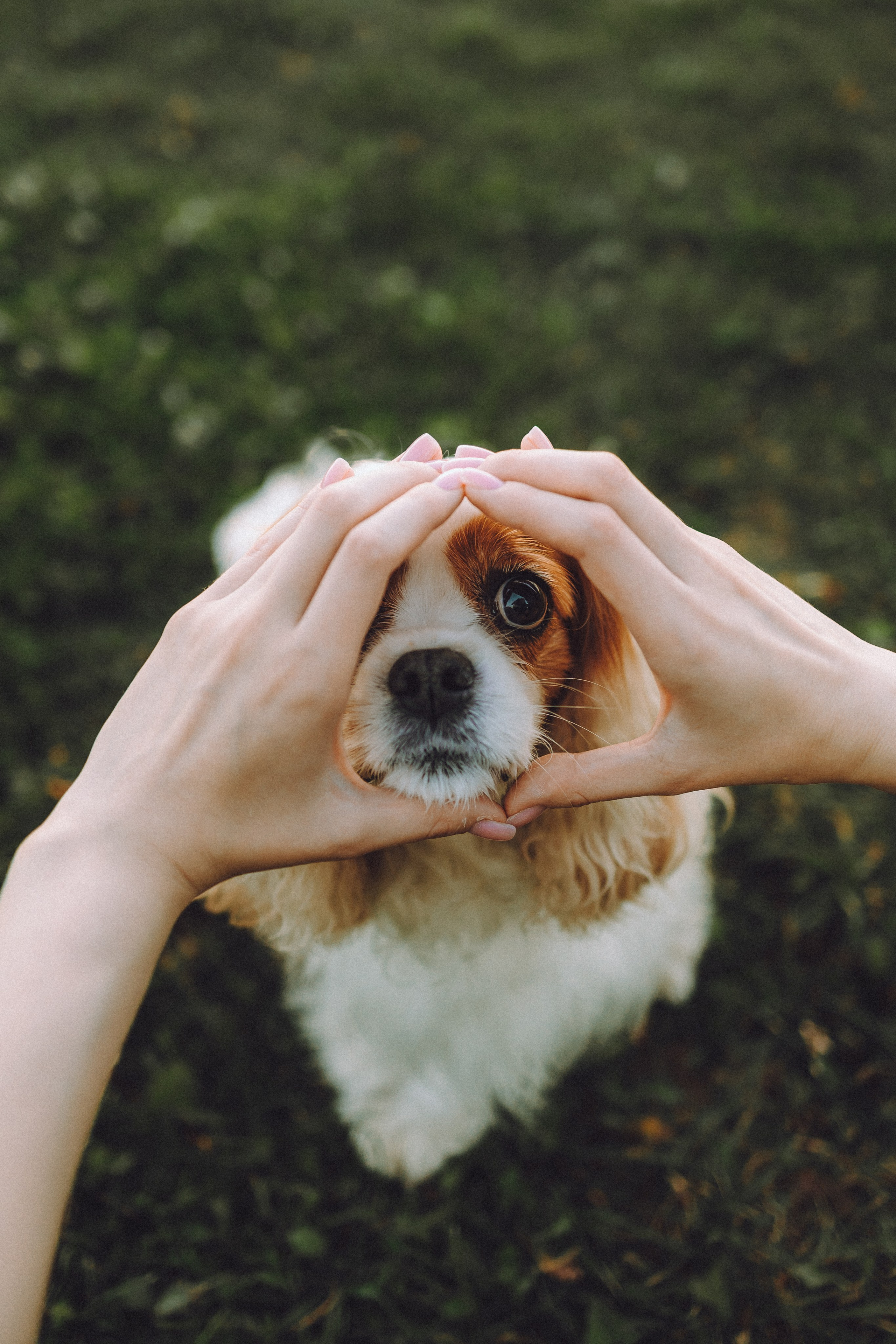 Наташа и Вики