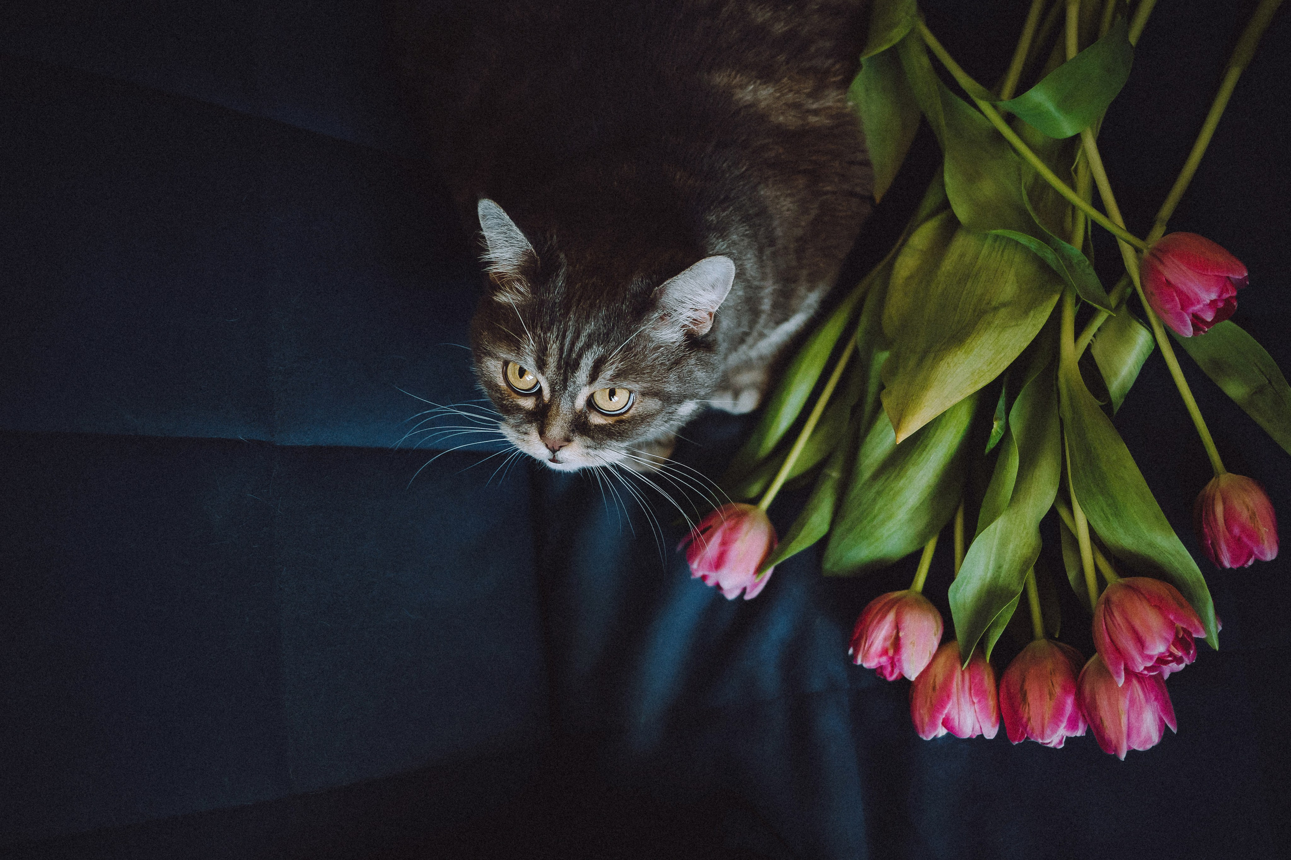 Яся и ее семья