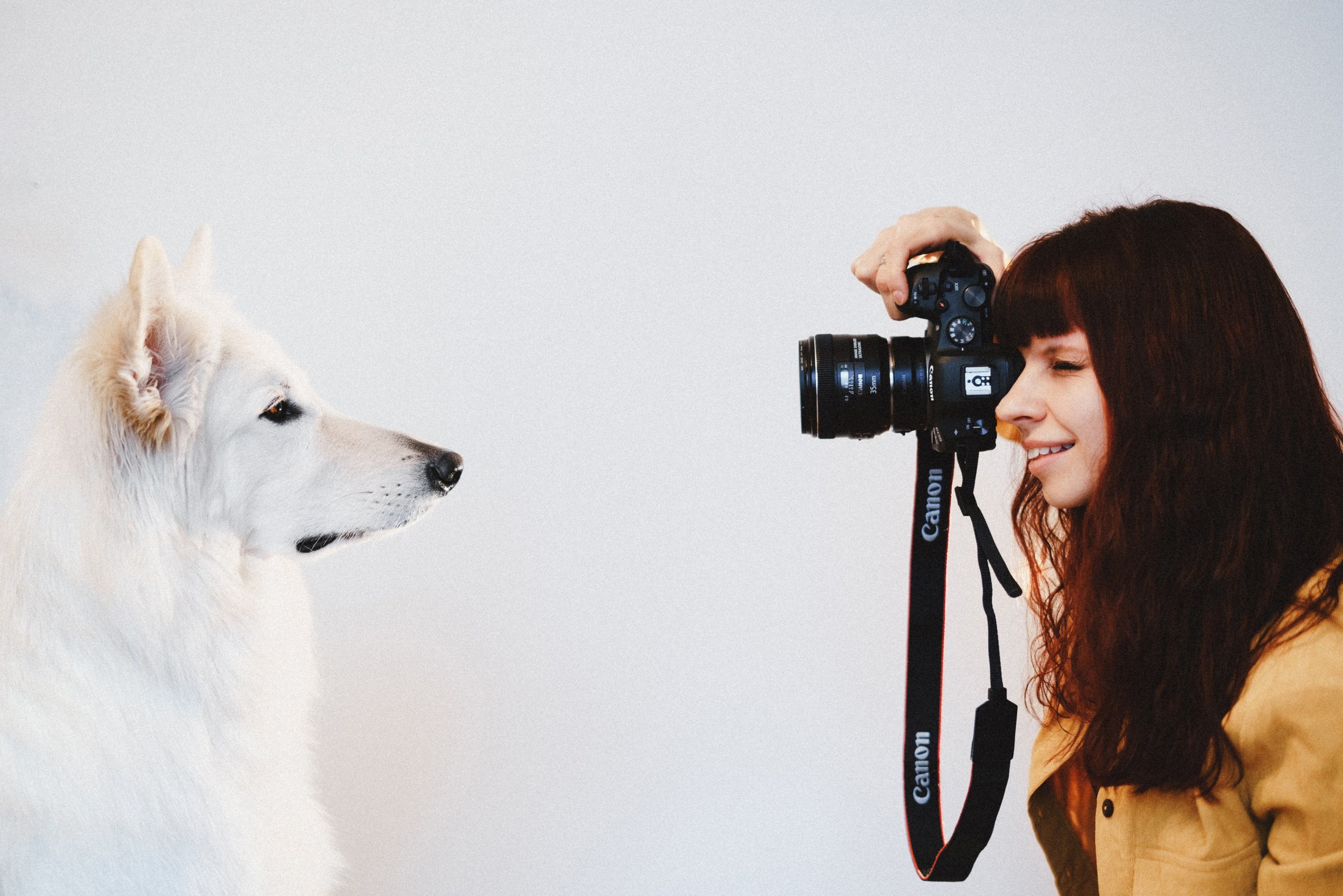 Курсы на фотографа-анималиста