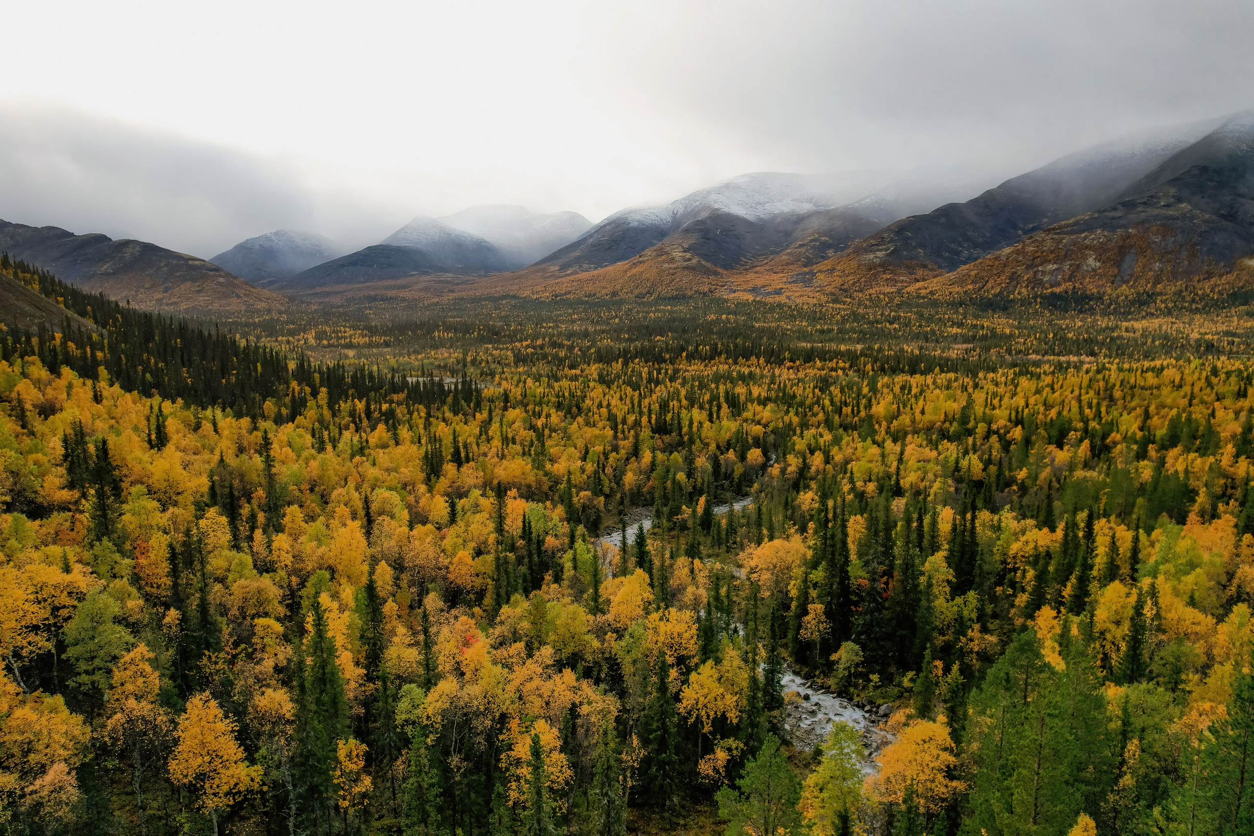 СЕВЕР. Event фотограф Степанова Александра