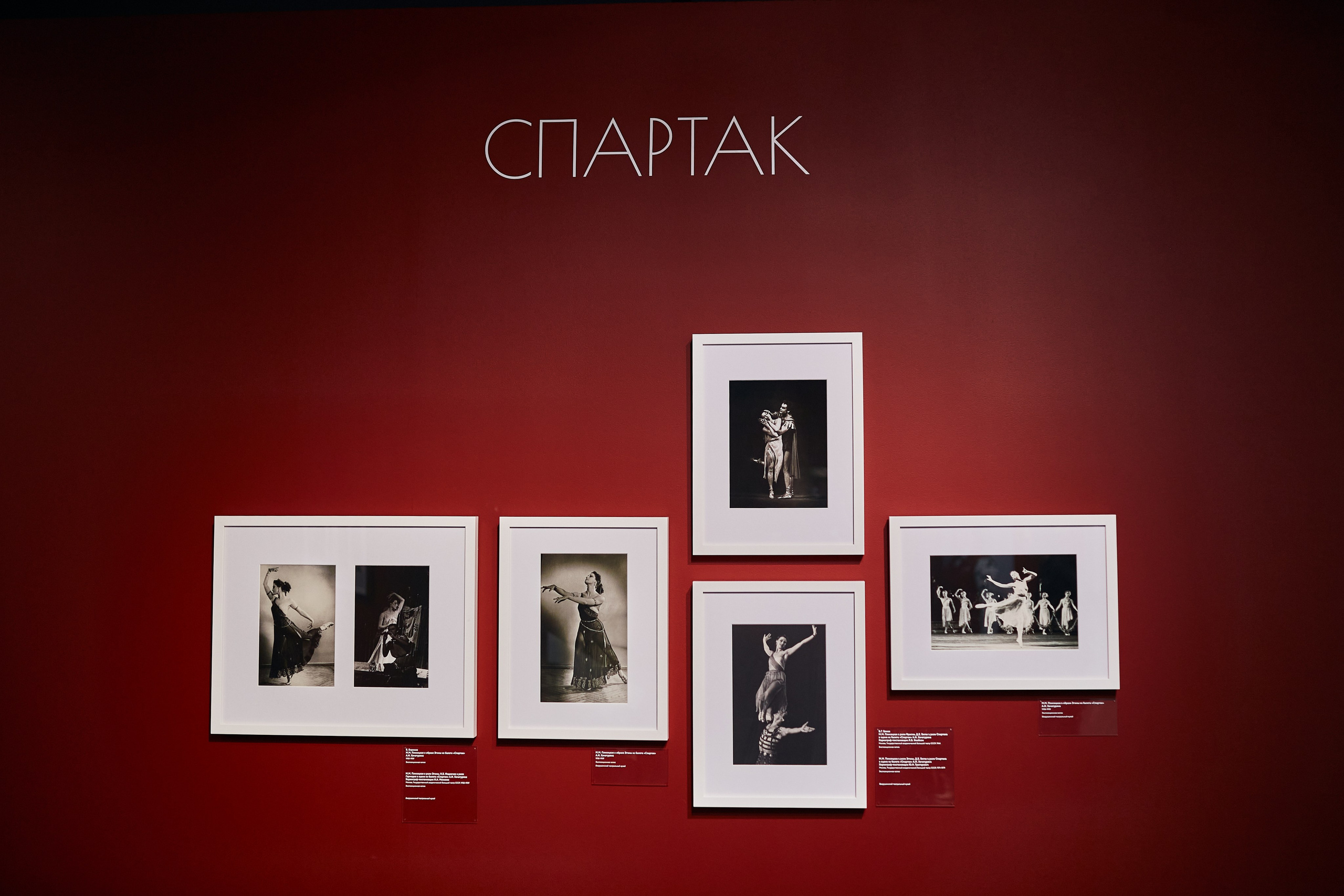 Выставка «Майя Плисецкая. Полюс магии». Даниил Гузиенко — репортажный фотограф в Туле