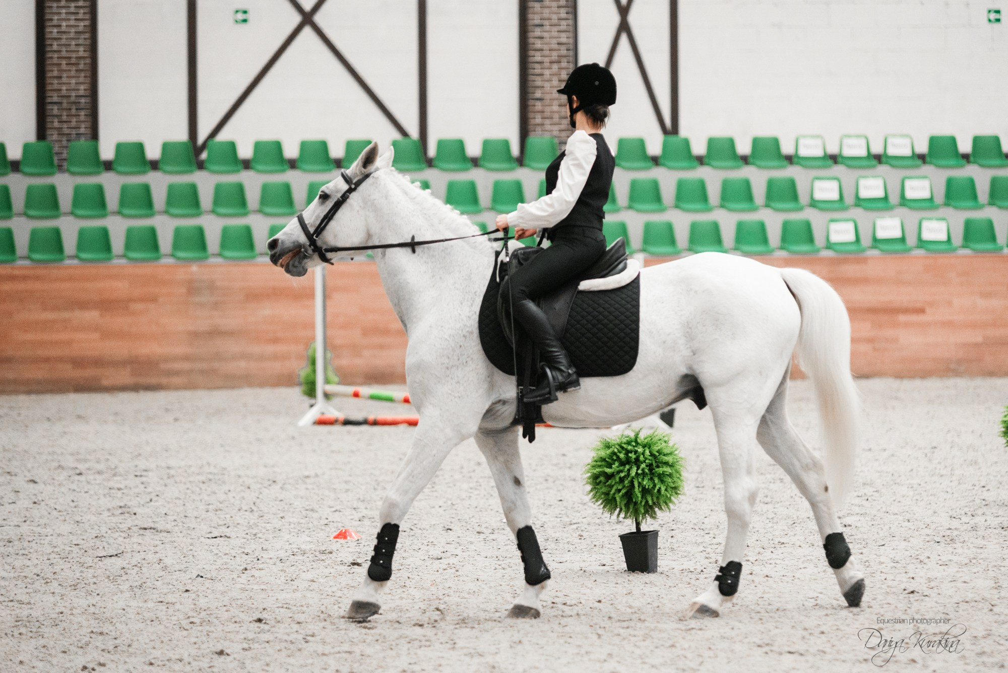 8-я международная выставка Конная Россия. Конный фотограф Куракина Дарья • Фотосессии с лошадьми