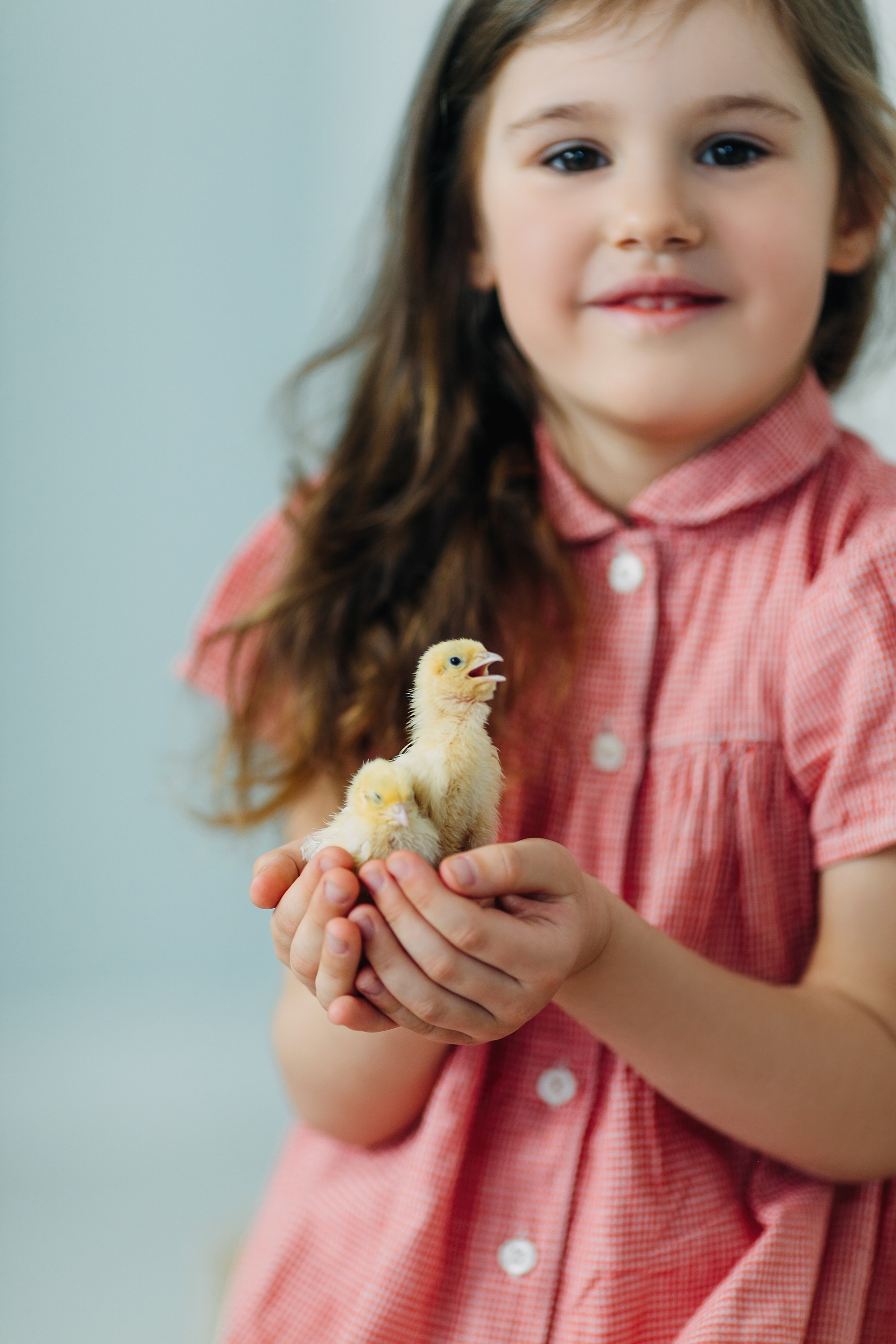 Пасхальный фотопроект с кроликами и цыплятами совместно с фотостудией Art House. Семейный и детский фотограф в Пскове и Санкт-Петербурге Яна Калинина