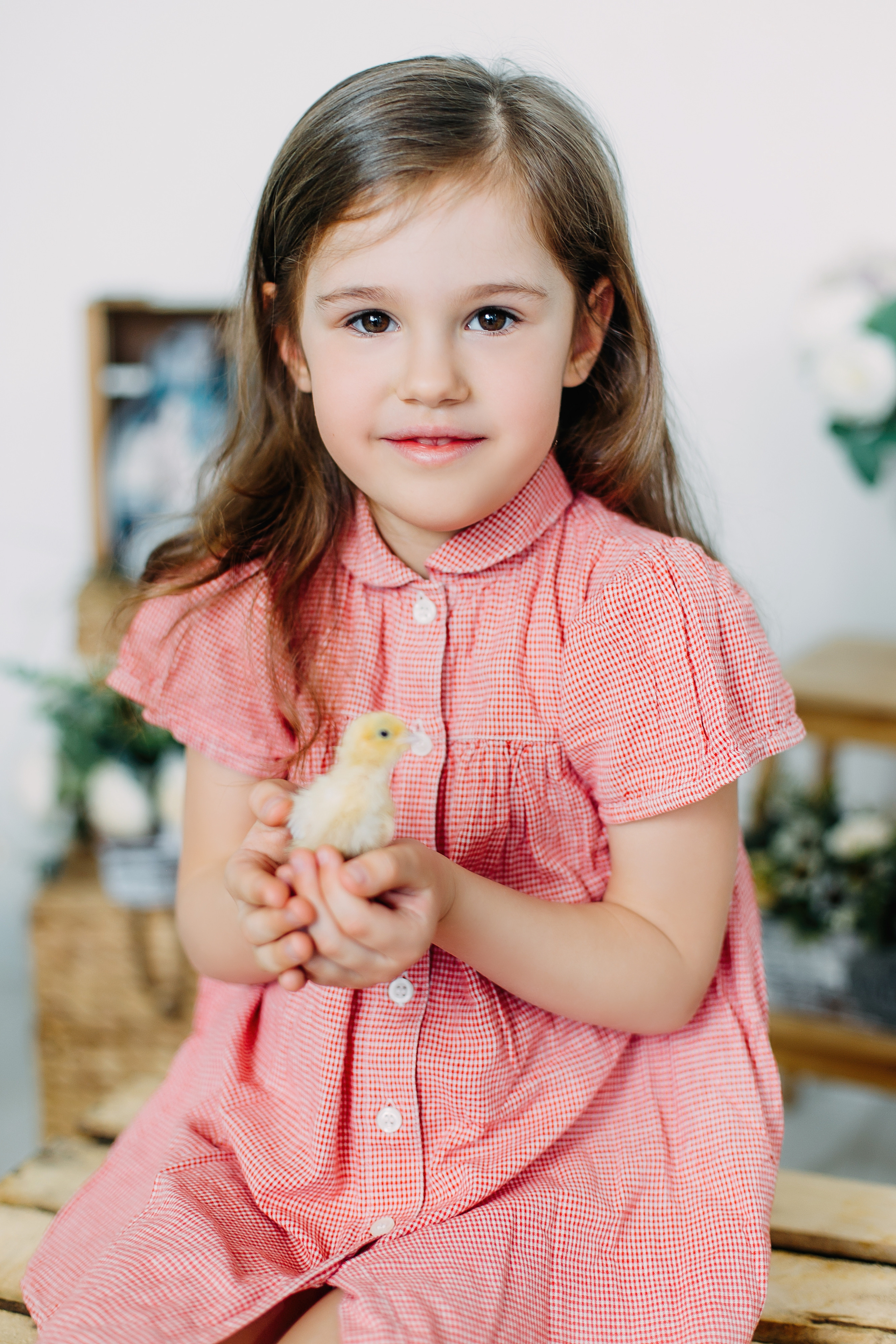 Пасхальный фотопроект с кроликами и цыплятами совместно с фотостудией Art House. Семейный и детский фотограф в Пскове и Санкт-Петербурге Яна Калинина