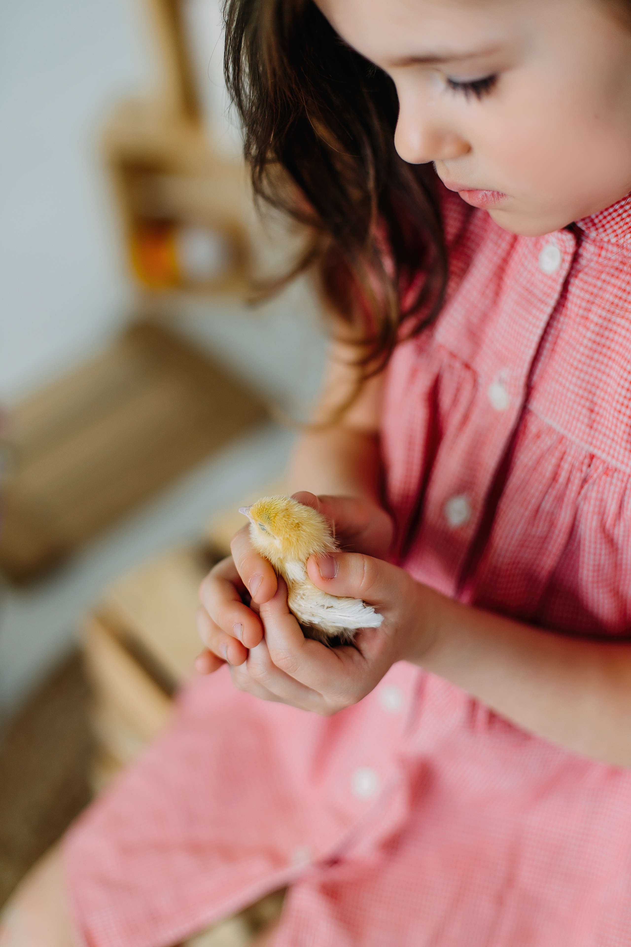 Пасхальный фотопроект с кроликами и цыплятами совместно с фотостудией Art House. Семейный и детский фотограф в Пскове и Санкт-Петербурге Яна Калинина