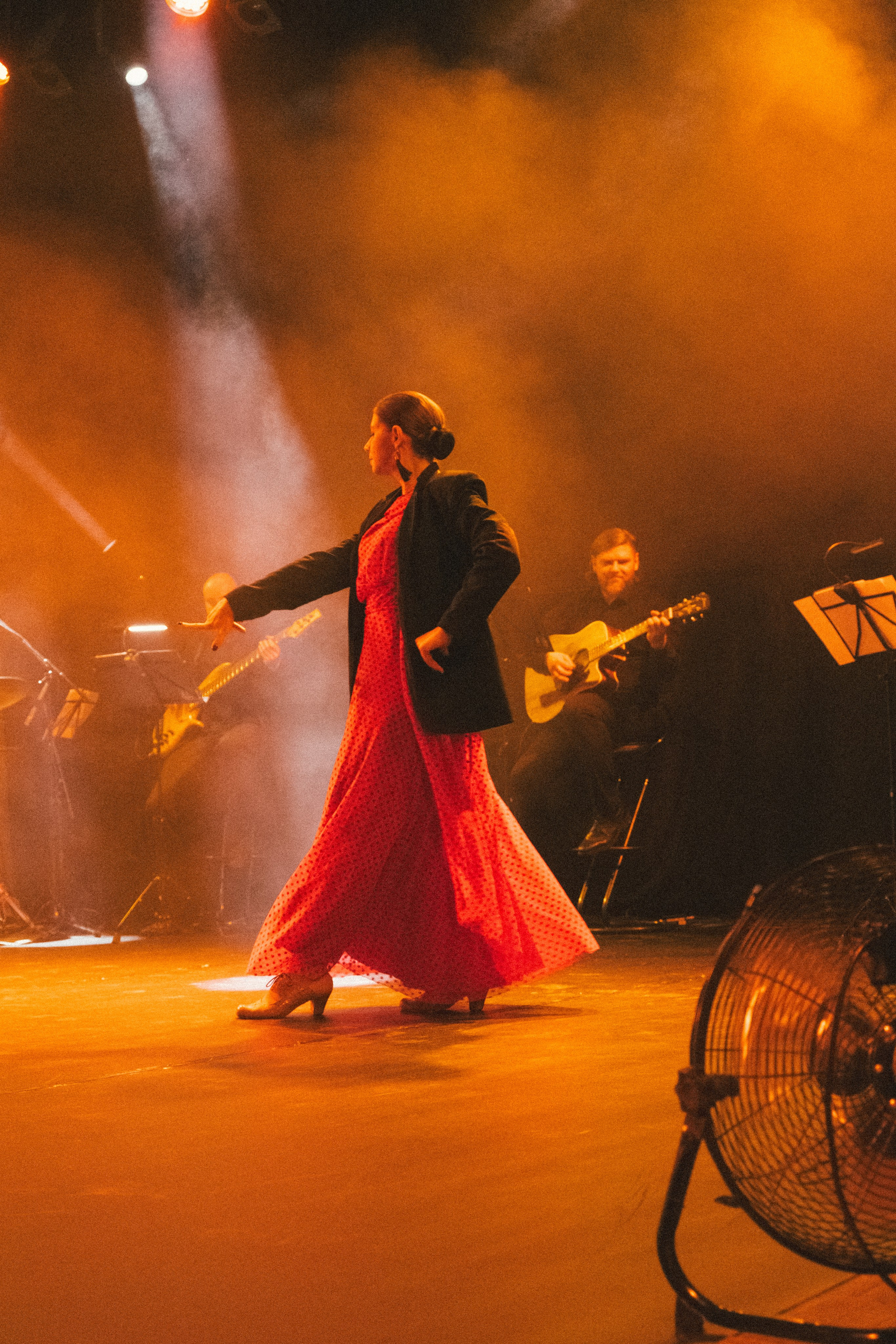 Спектакль «Mujeres» («Женщины»), студия фламенко Tierra del Sol. Анна Демидова — фотография для жизни и бизнеса в Абакане