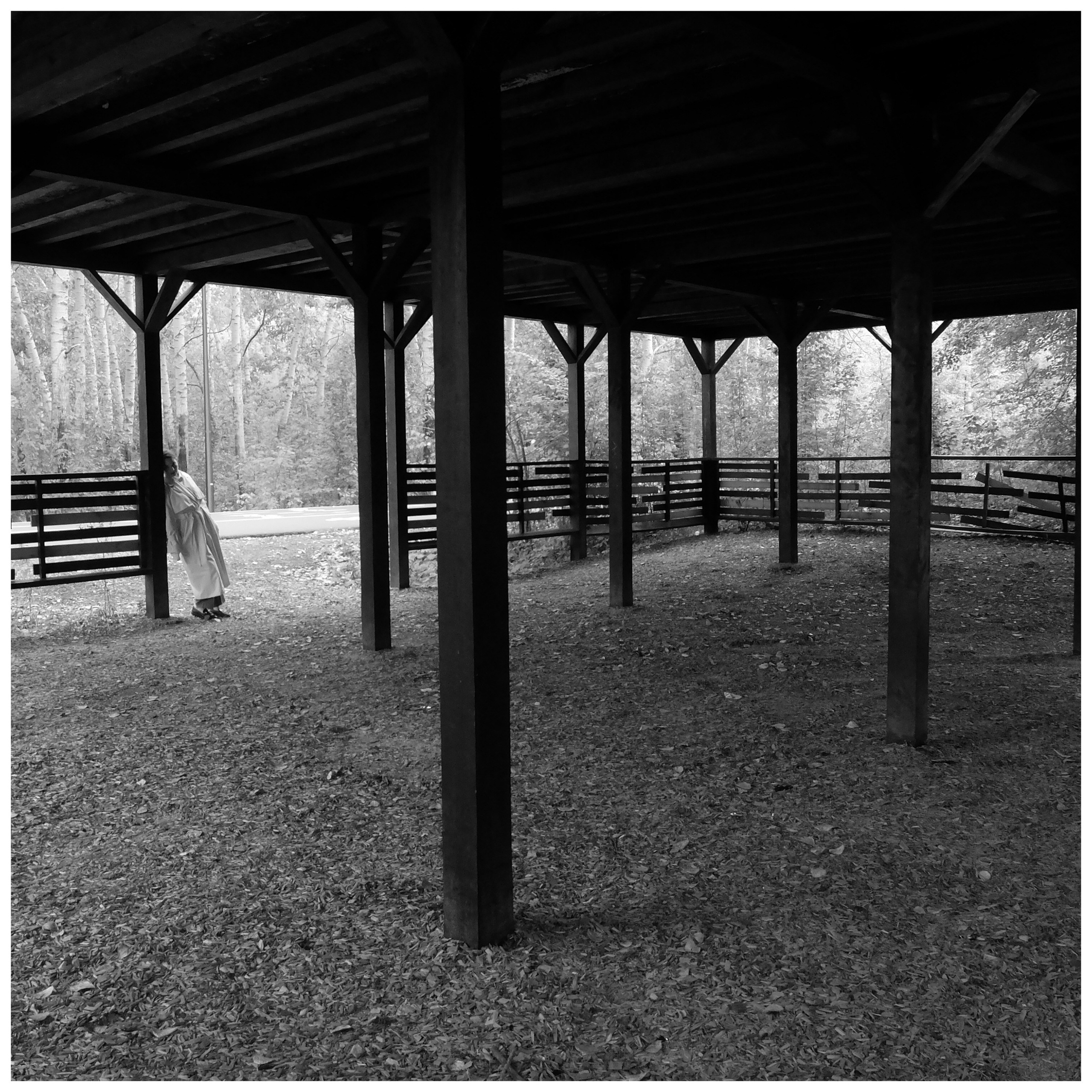 Влюбленные в жизнь