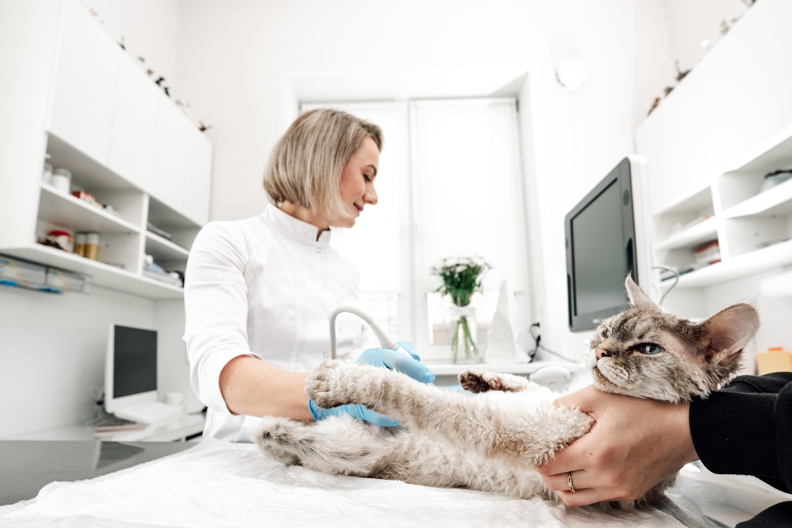 Домашние задания _ Жагорина. Семейный фотограф и видеограф в Тюмени Анна Жагорина