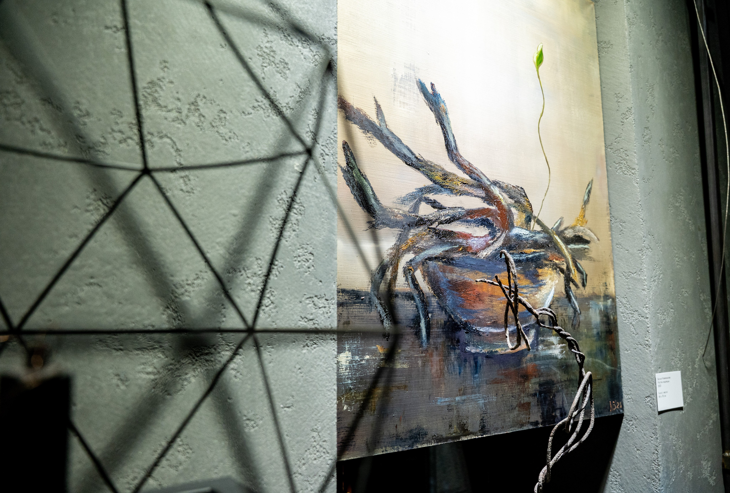 ЛЕС Авторский проект Юлии Якубович 04.11.2025. Портретный и репортажный фотограф в Москве Разуменко Роман