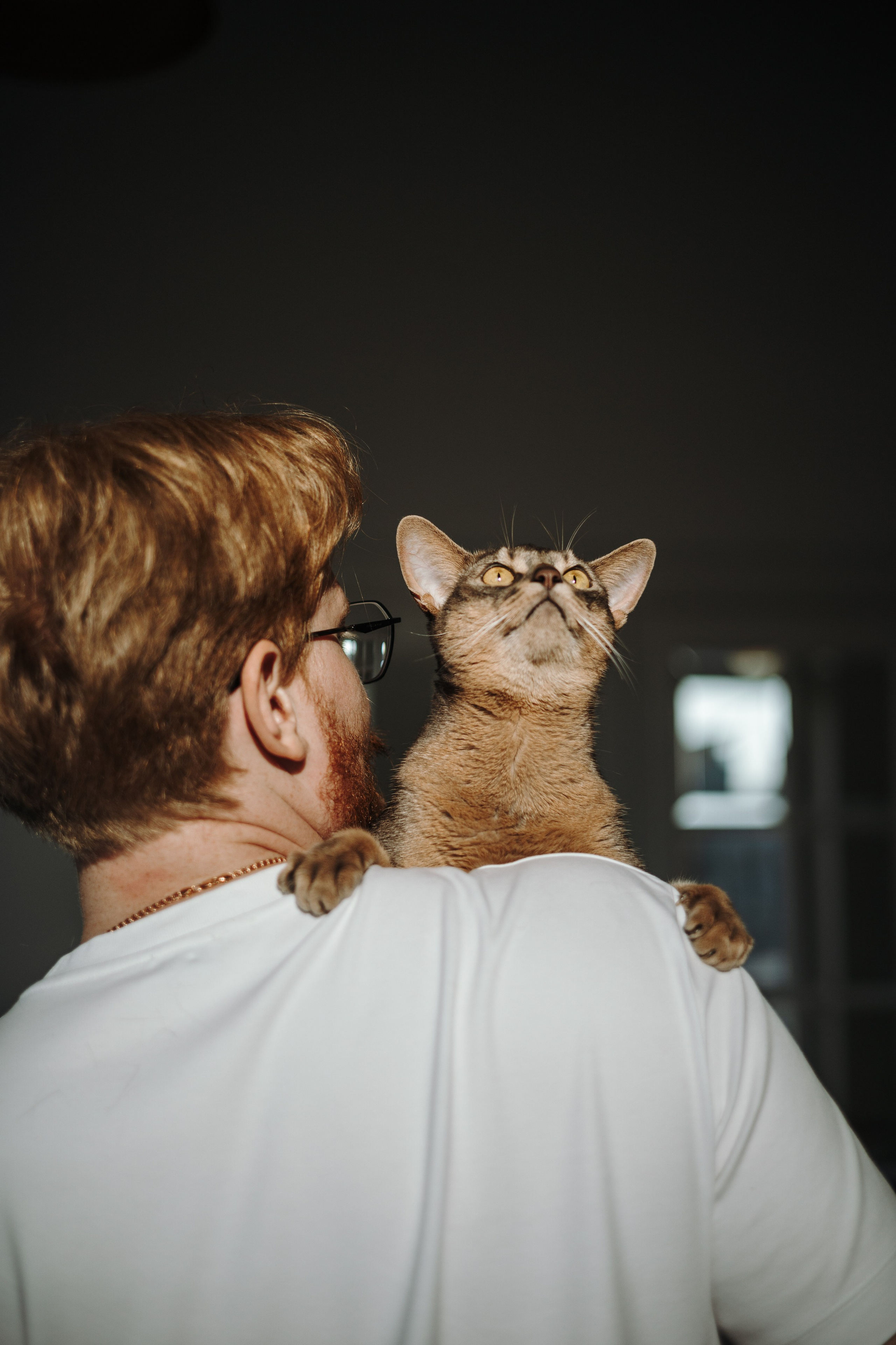 Циско и его семья. Фотограф — Анималист | Санкт-Петербург