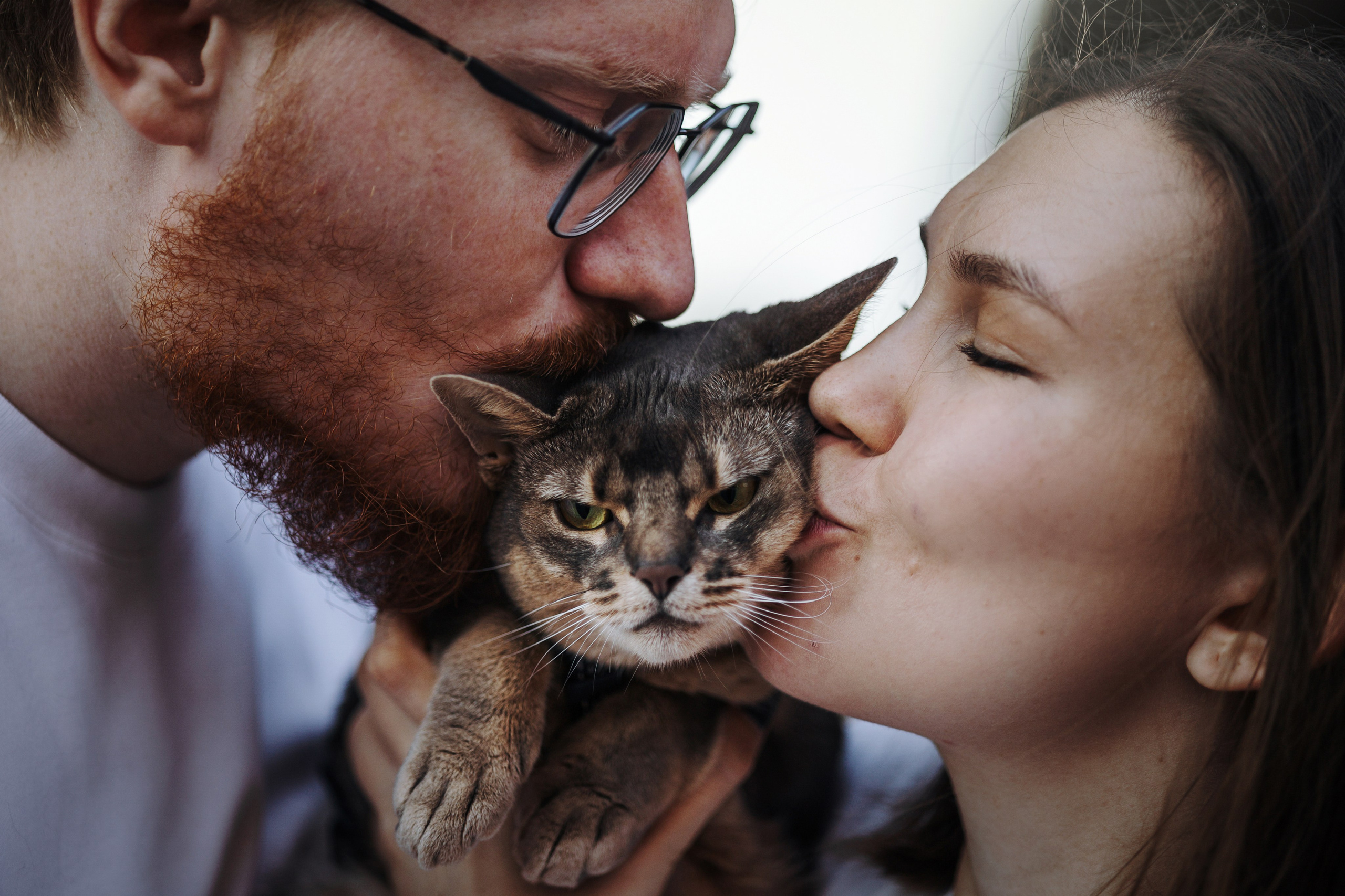 Циско и его семья. Фотограф — Анималист | Санкт-Петербург