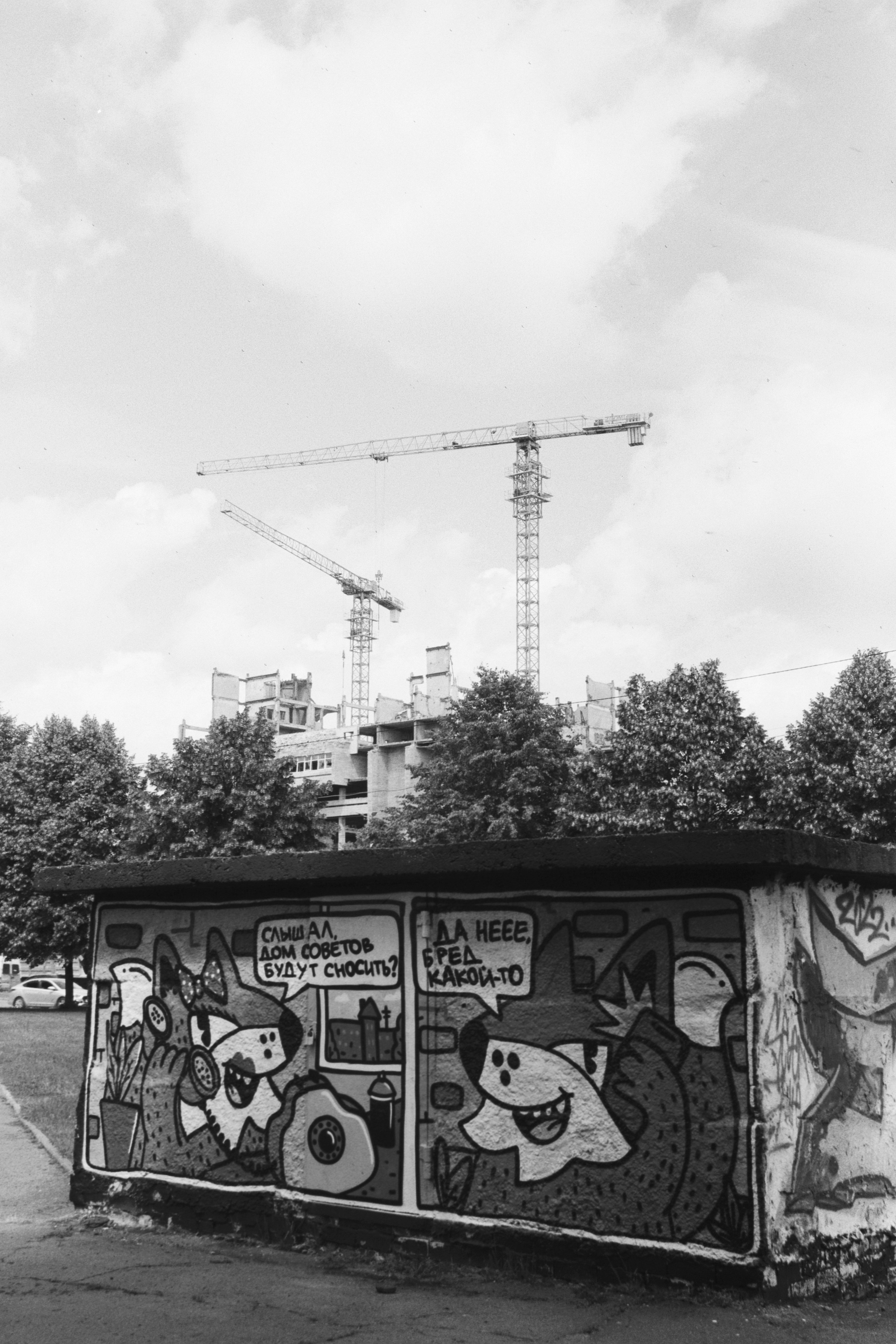 Автор: Амина Гаджиева