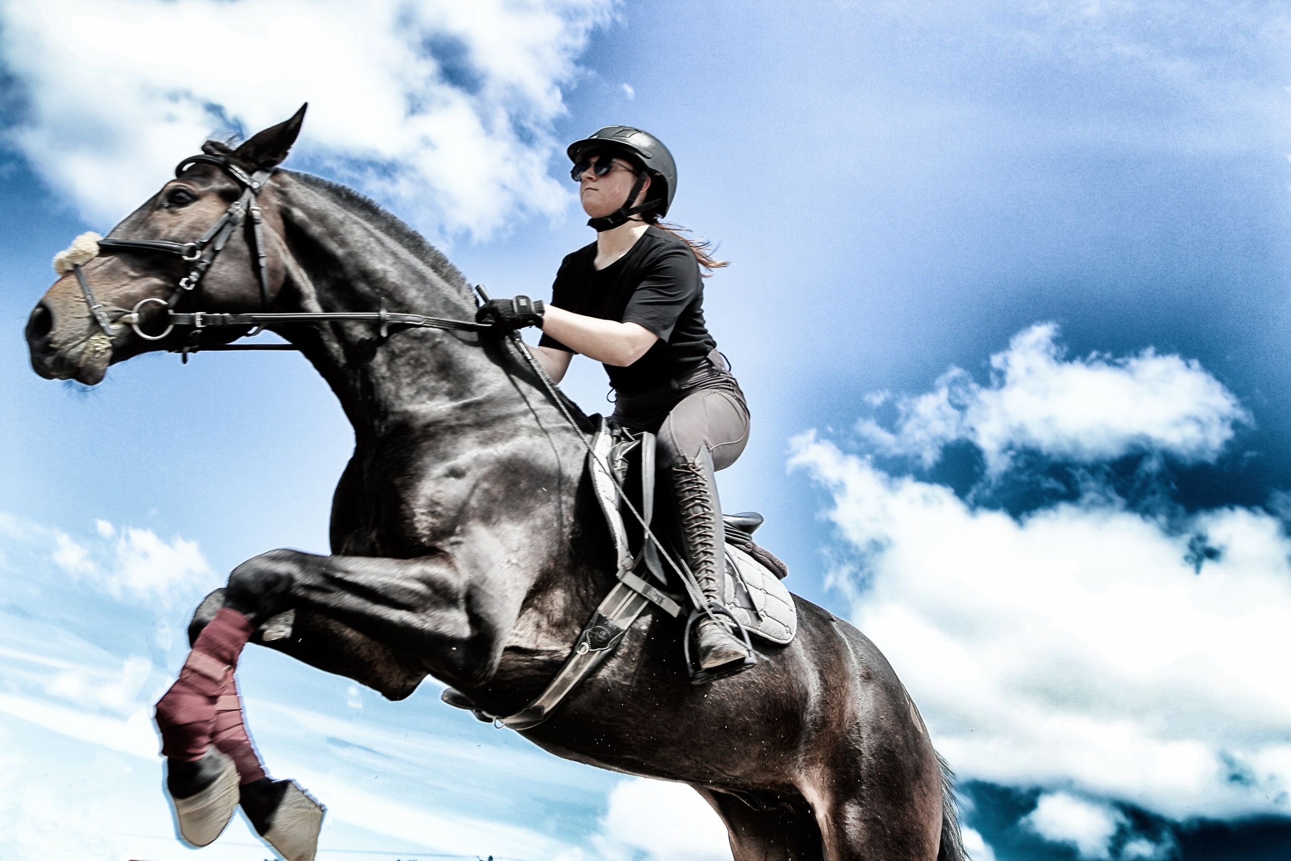Лошади «Каскад» и «Брилиант». Алиса Томшина — Фотограф / Видеограф