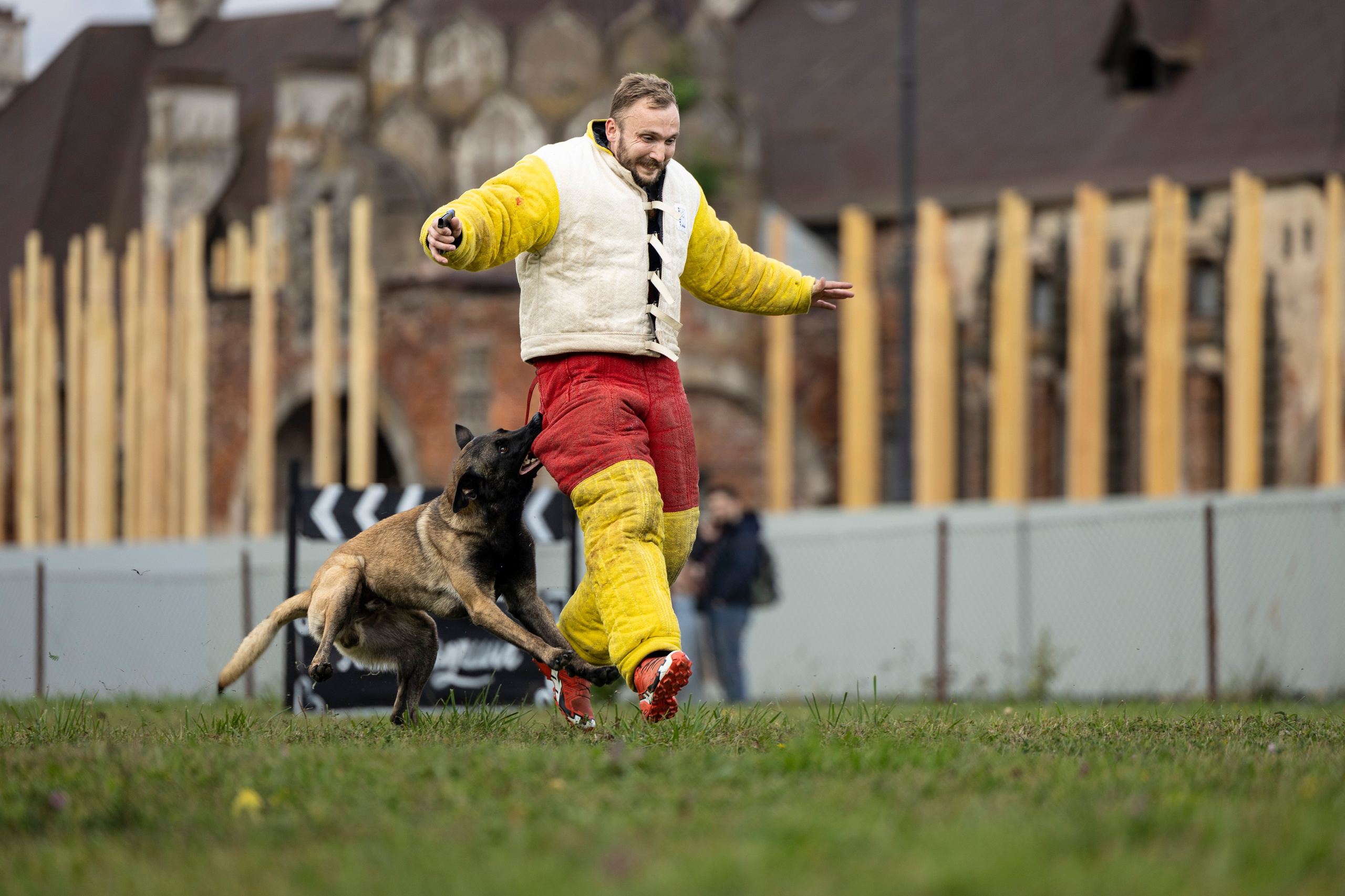 Испытания по Мондьорингу г. Пушкин. Фотограф-анималист Анна Маринич