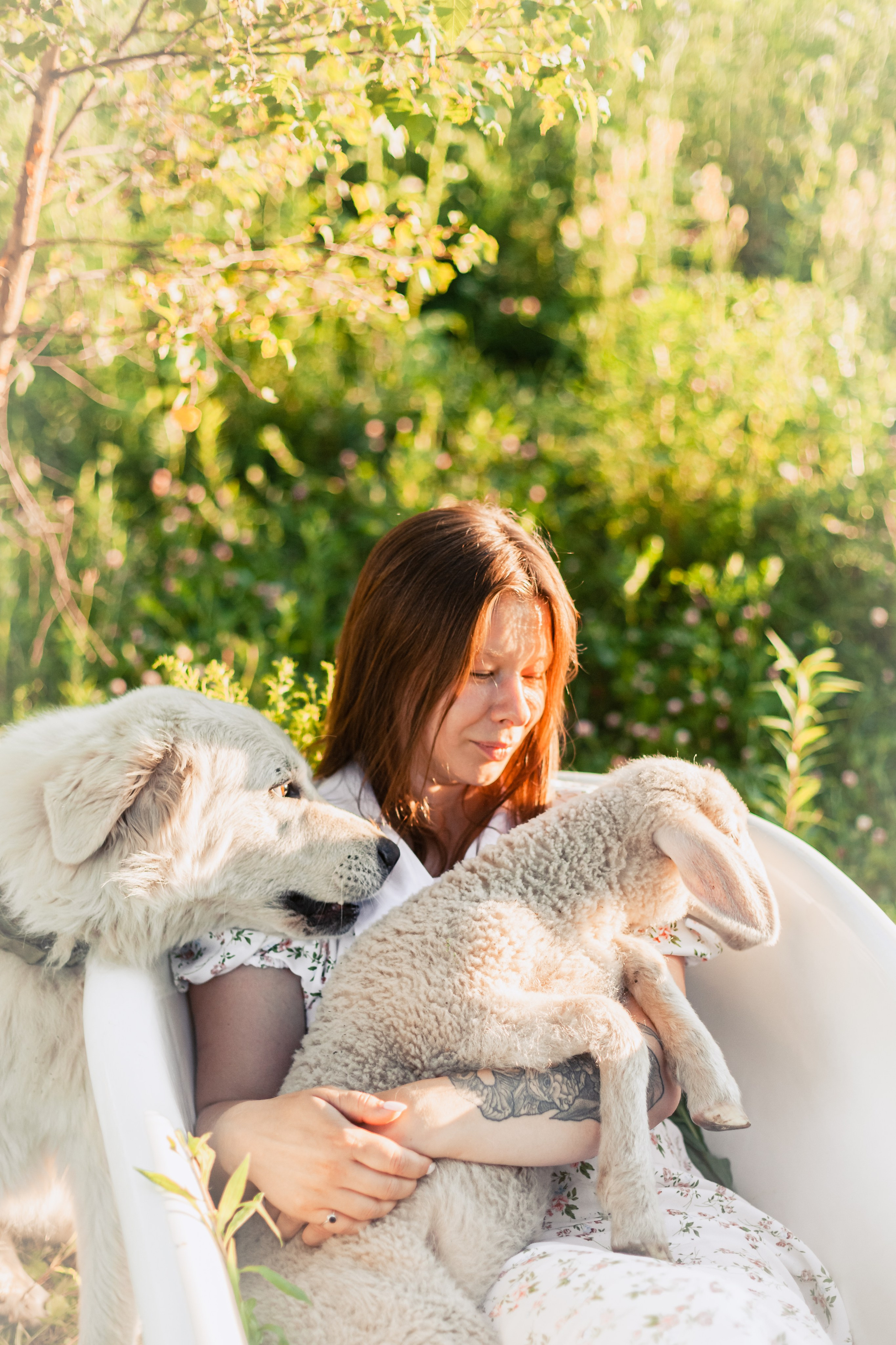 Ванна в поле. Фотограф-анималист Татьяна Степанова