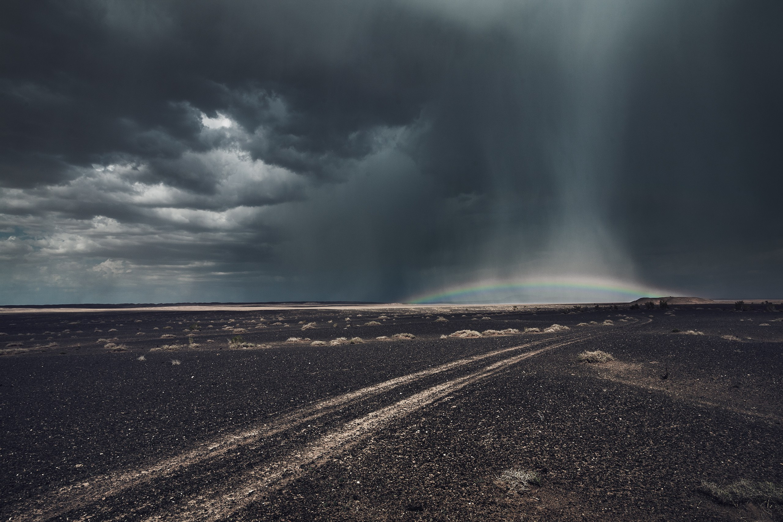 Монголия. Фотограф Владимир Медведев