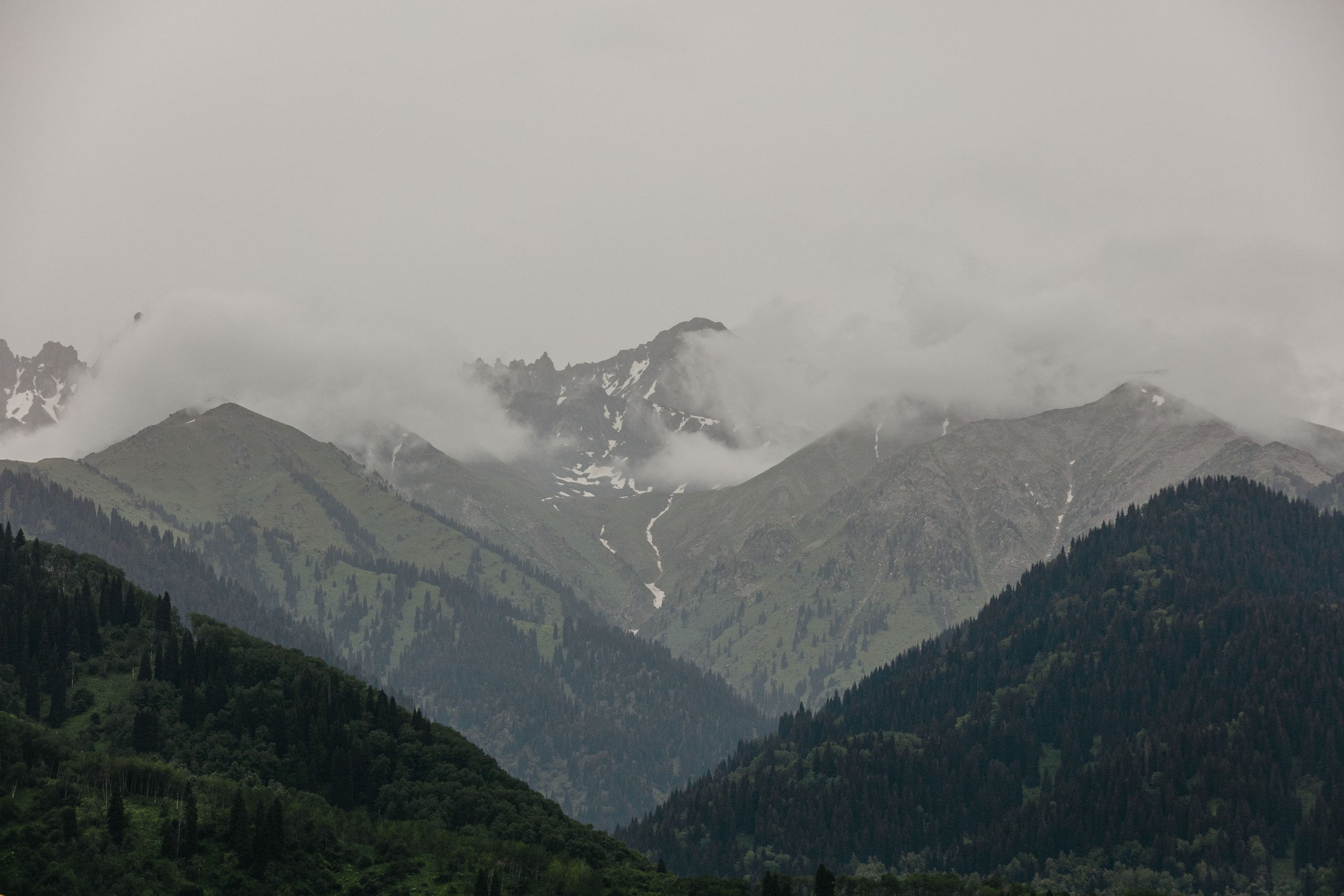 SATISFATION ALMATY 2024. ГЛАВНАЯ