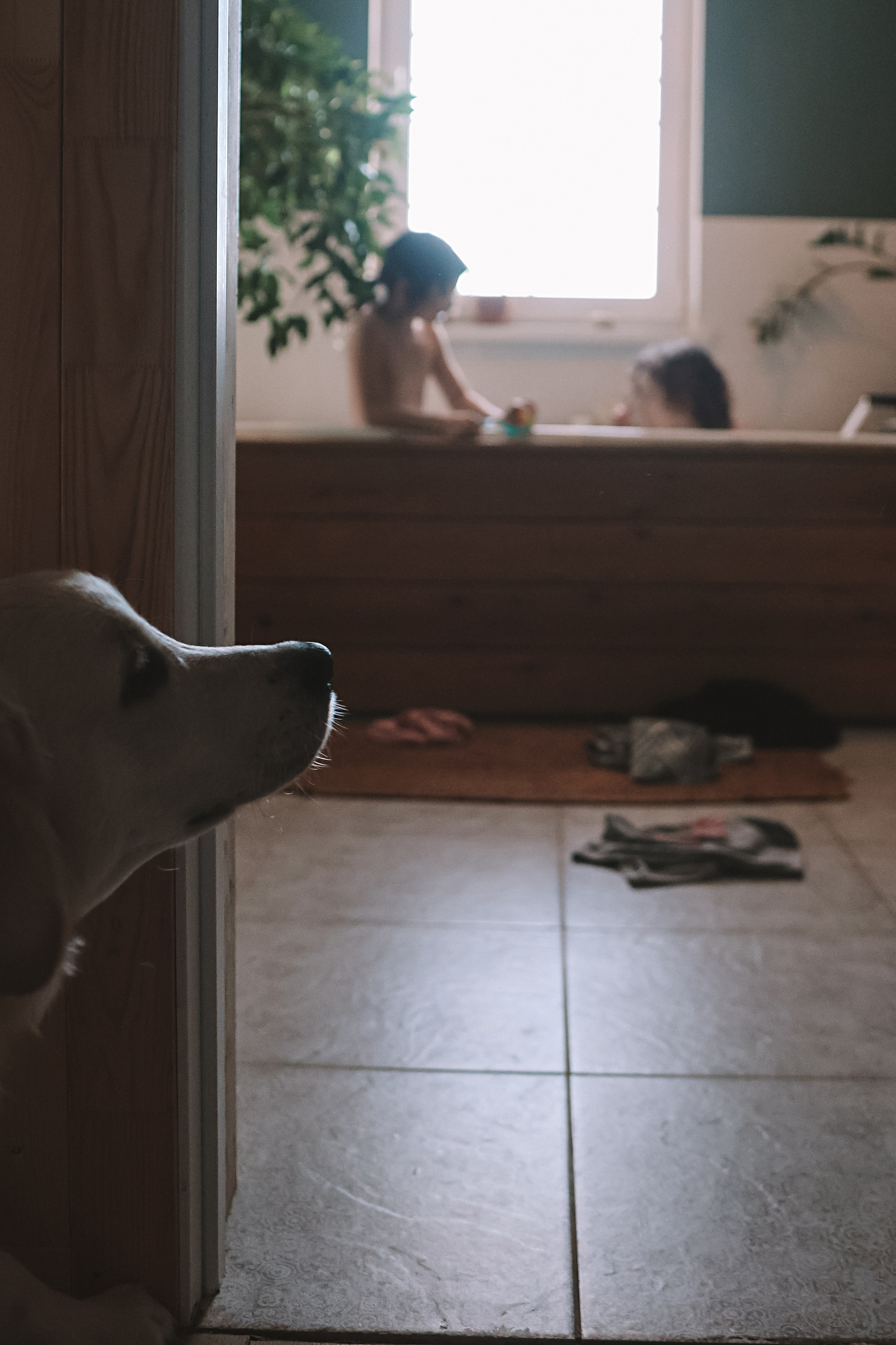 Наська (Чусовой). Семейный фотограф Тюмень, фотограф на роды Салмина Мария