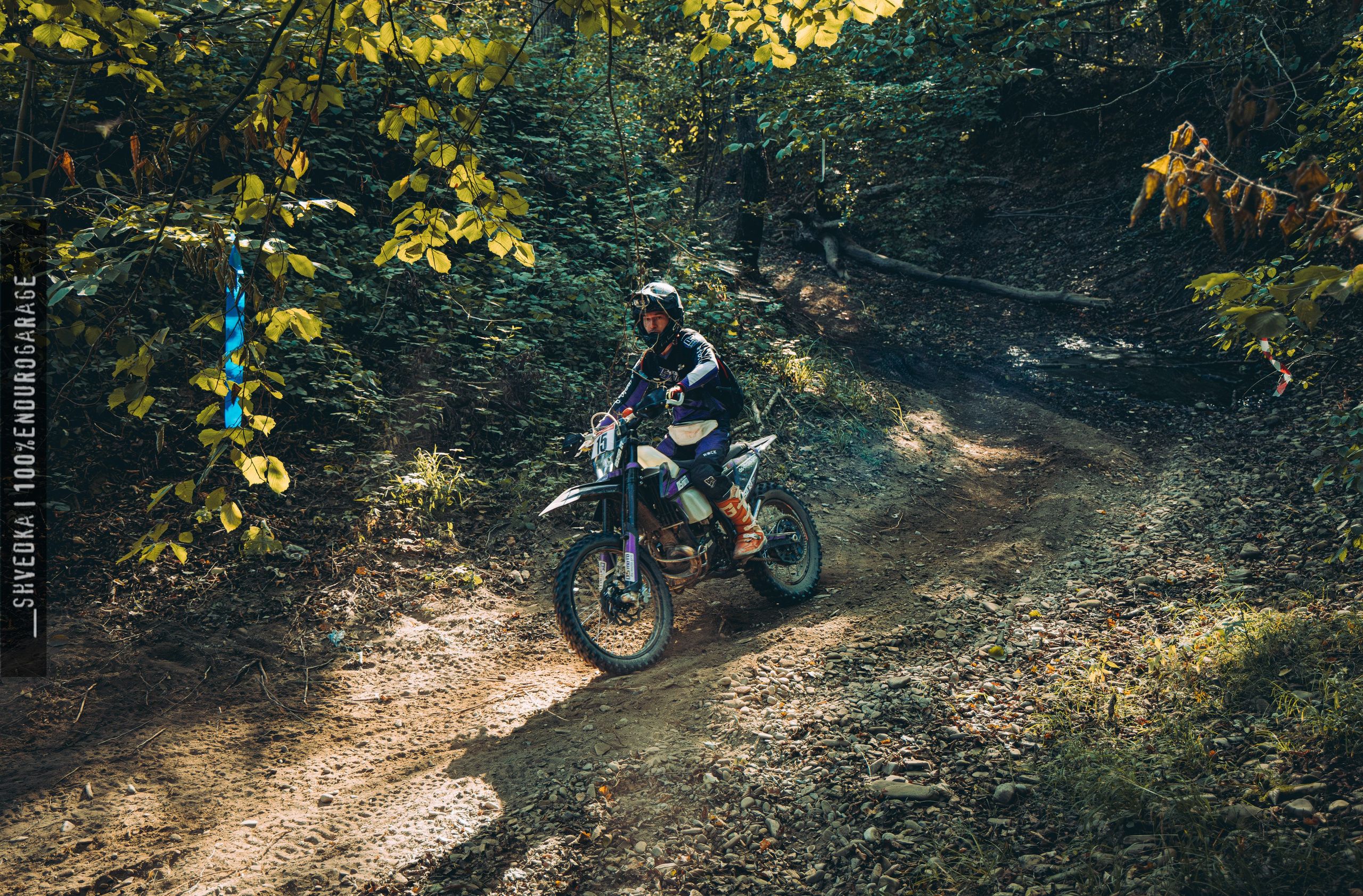 2 лесной день. Ваш экстрим фотограф Кудрева Яна